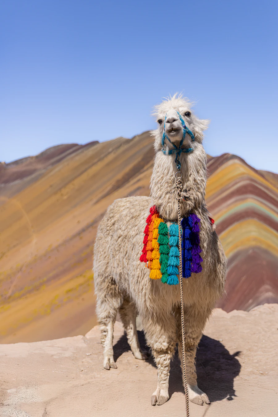 Cusco Inolvidable - 6 dias