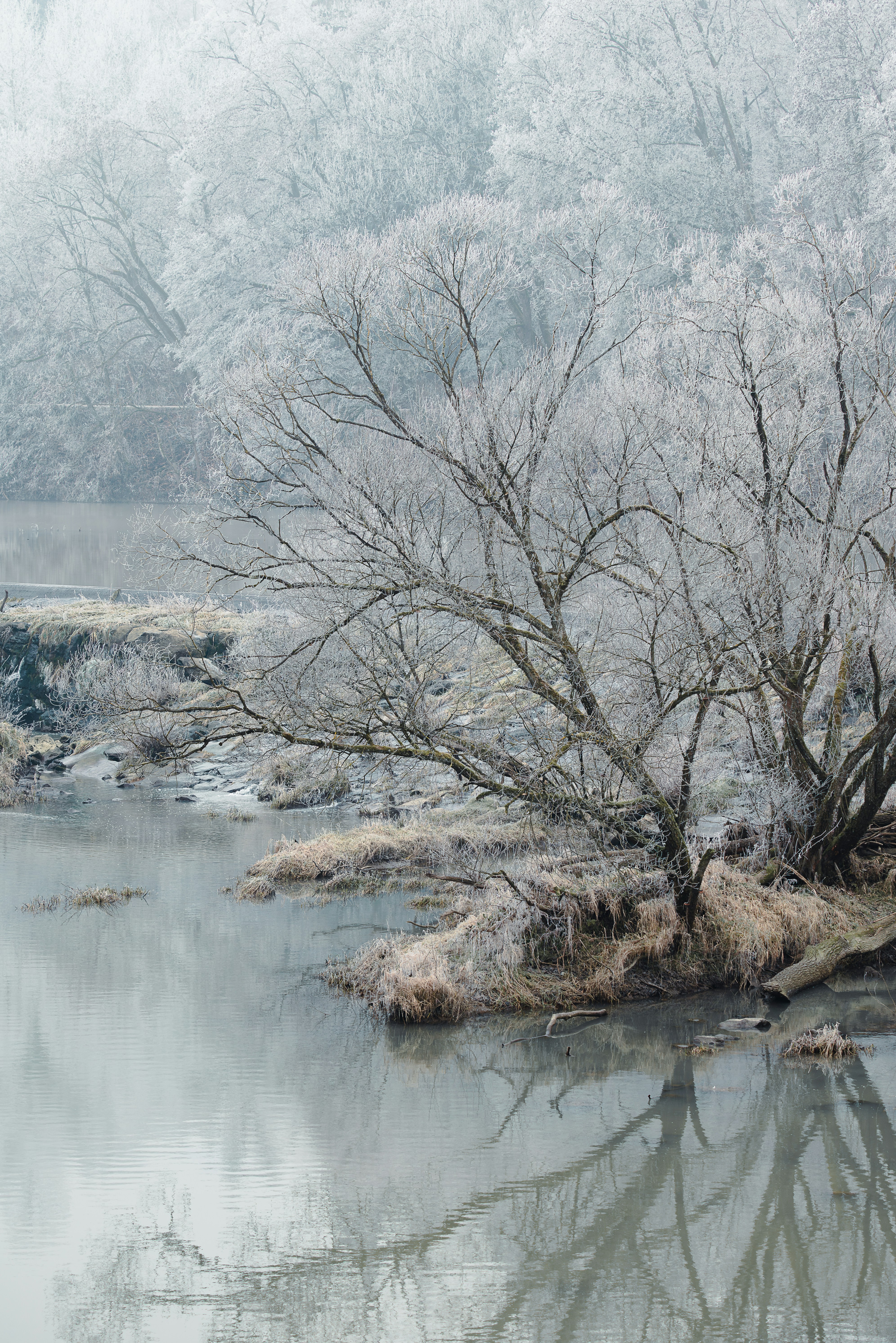 Photo by jetztabertempo