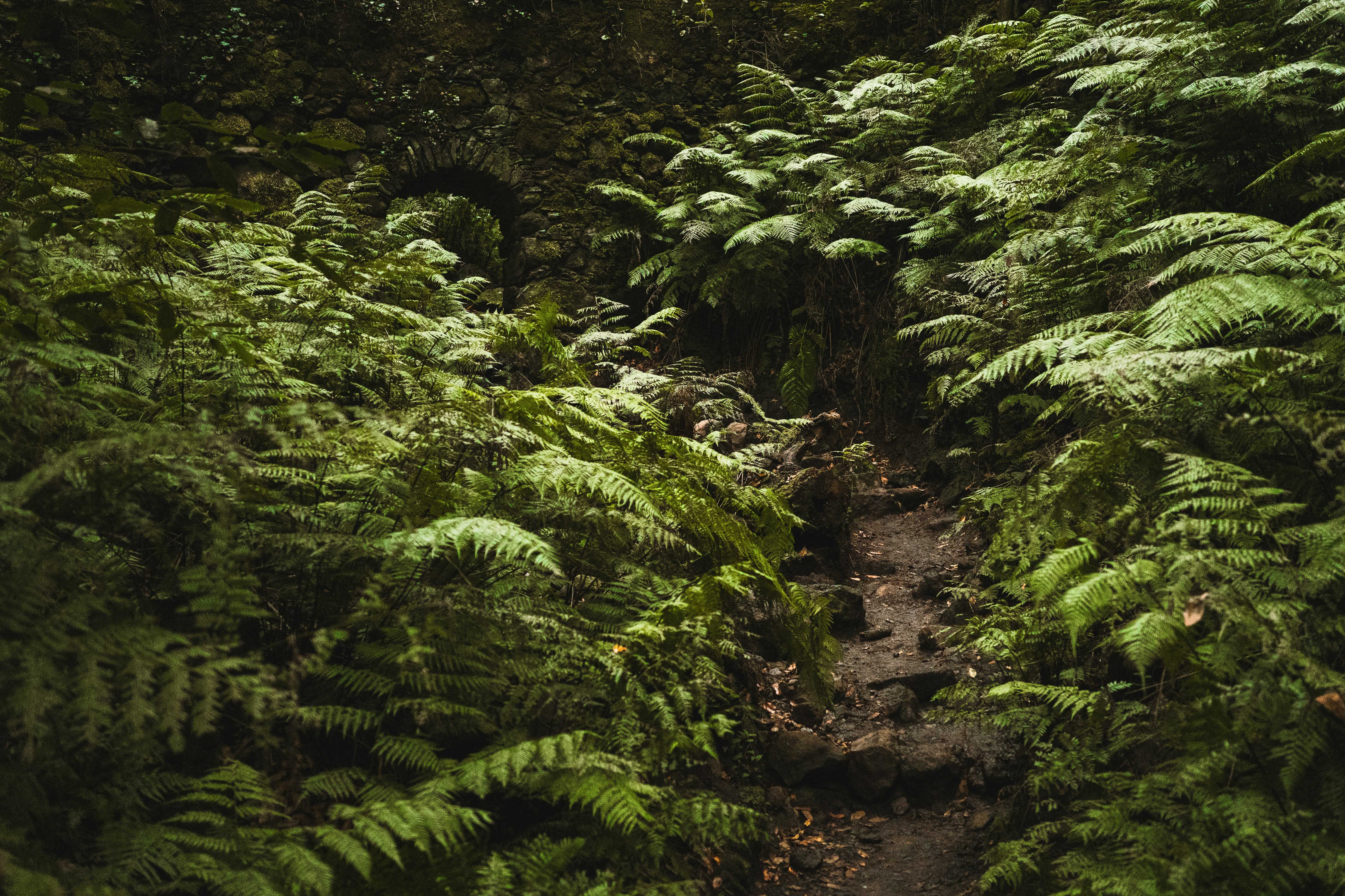 Photo by superwillyfoc