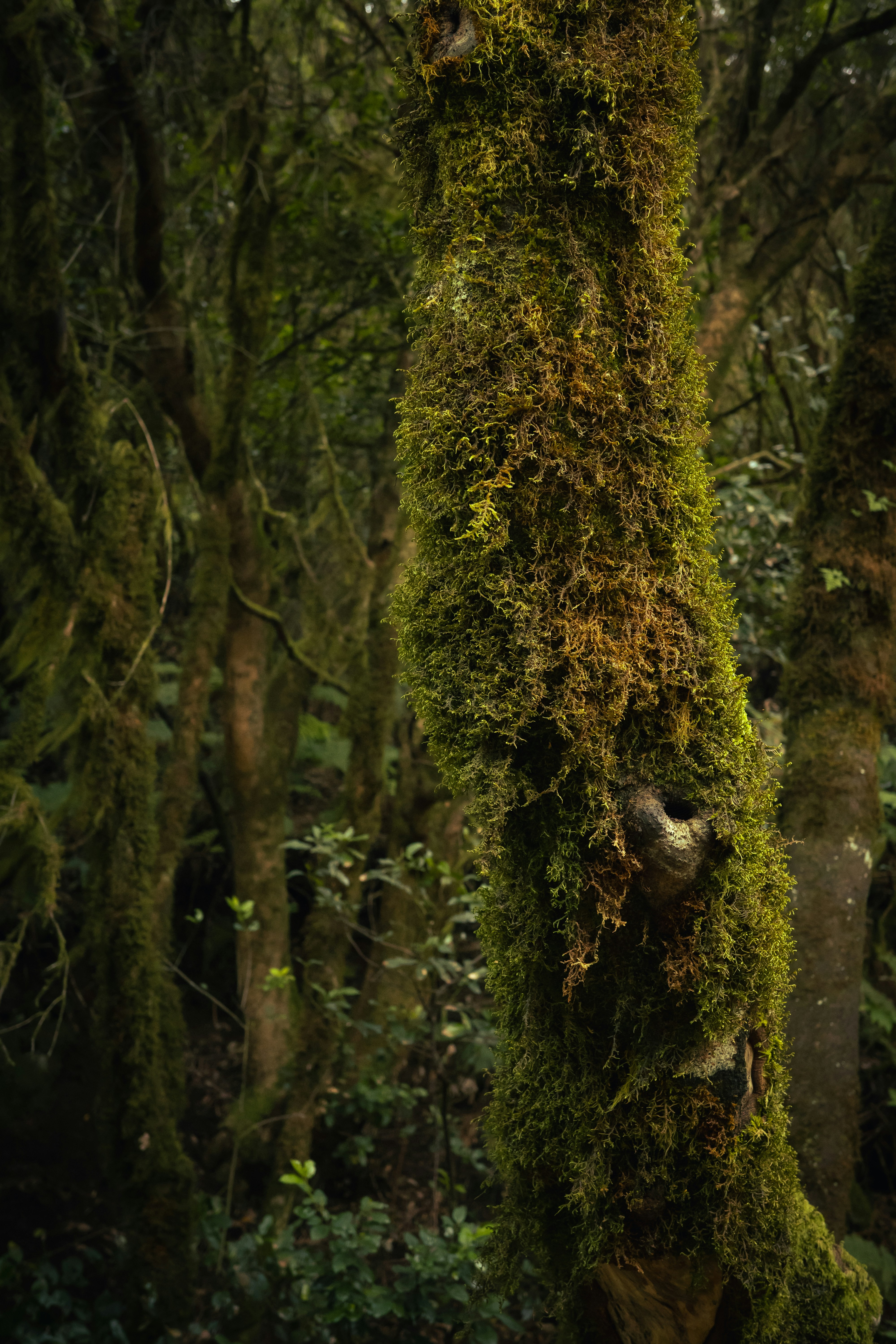 Photo by superwillyfoc