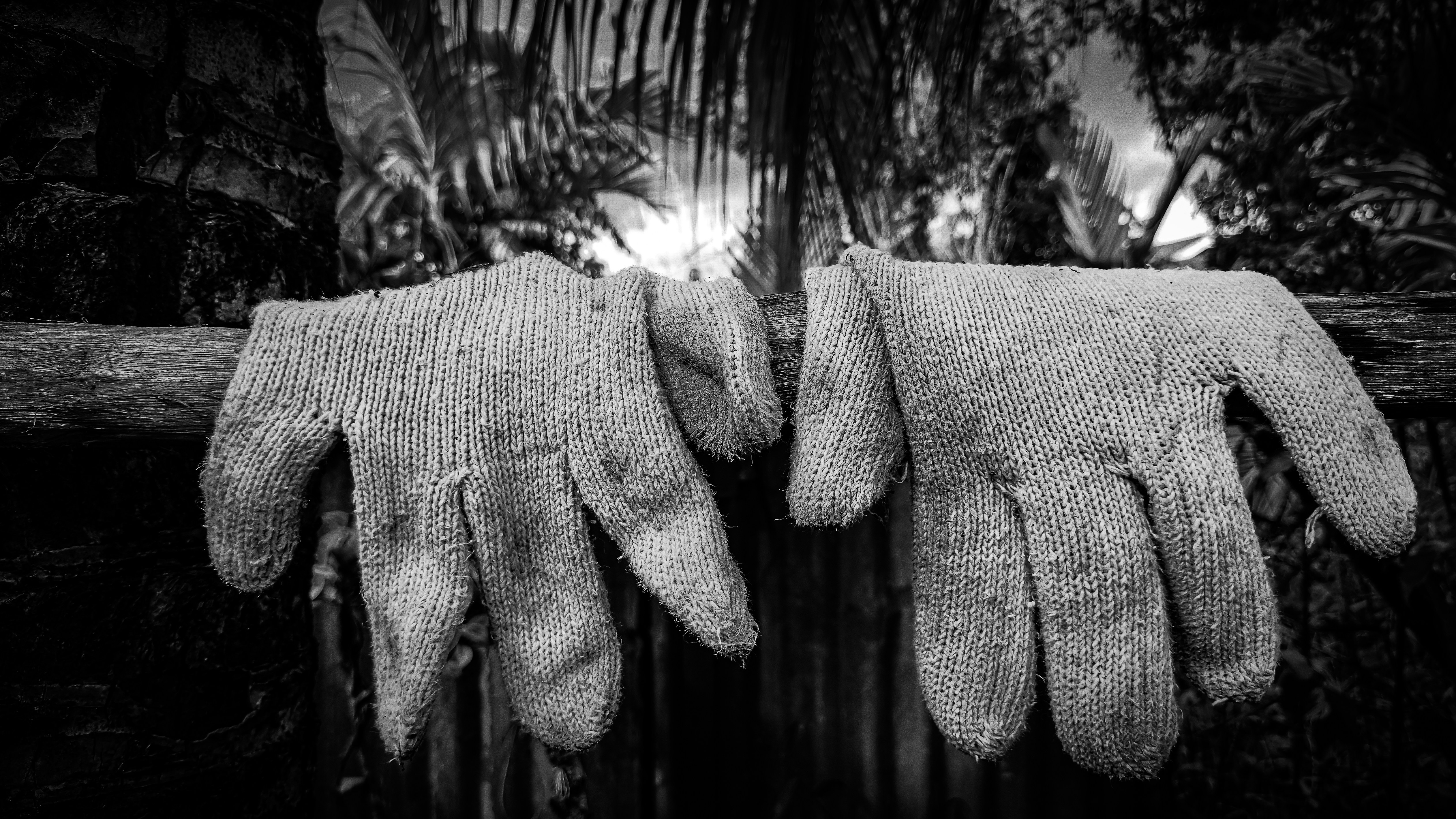 柵にぶら下がっている手袋の白黒写真