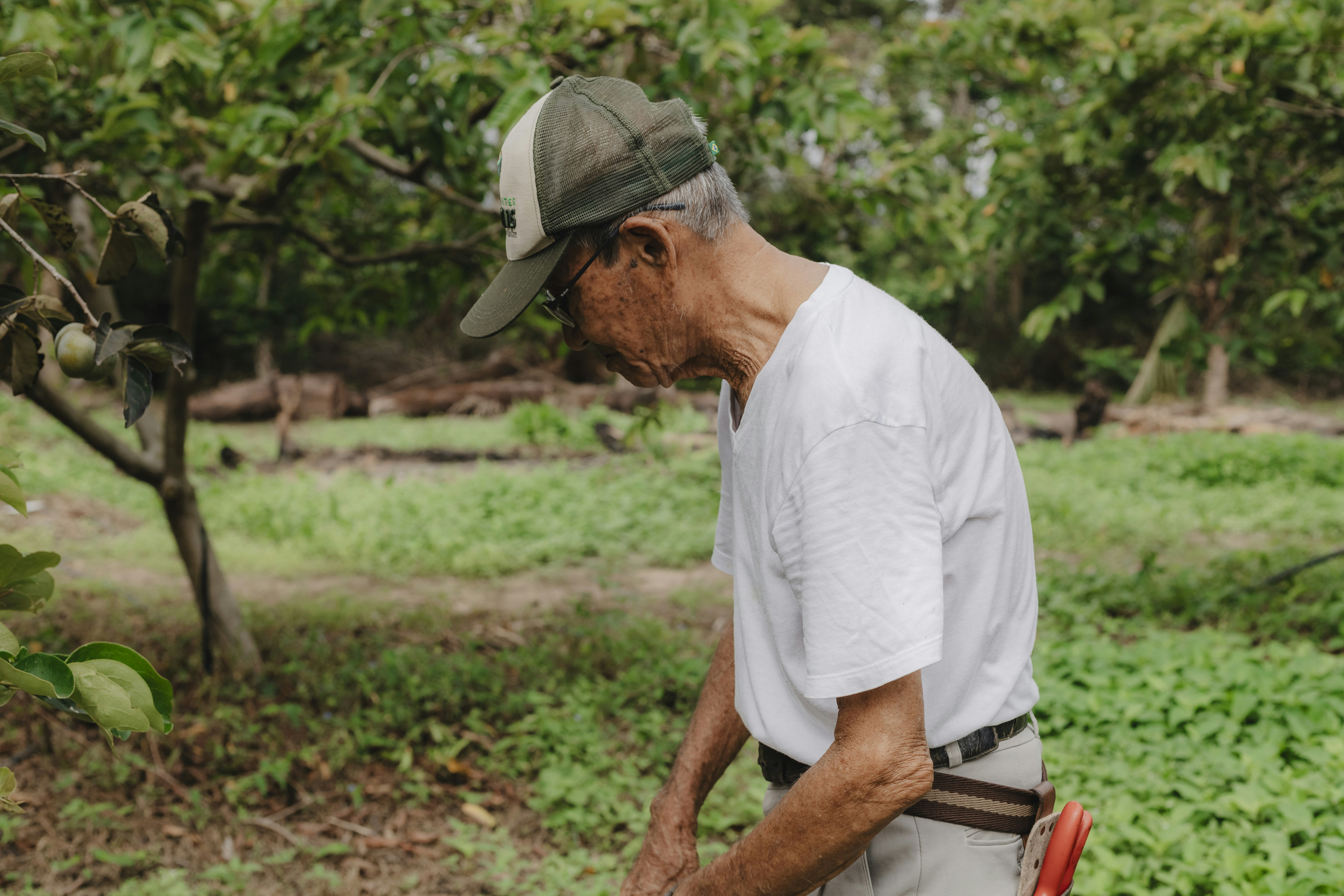 Photo by kawerodriguess