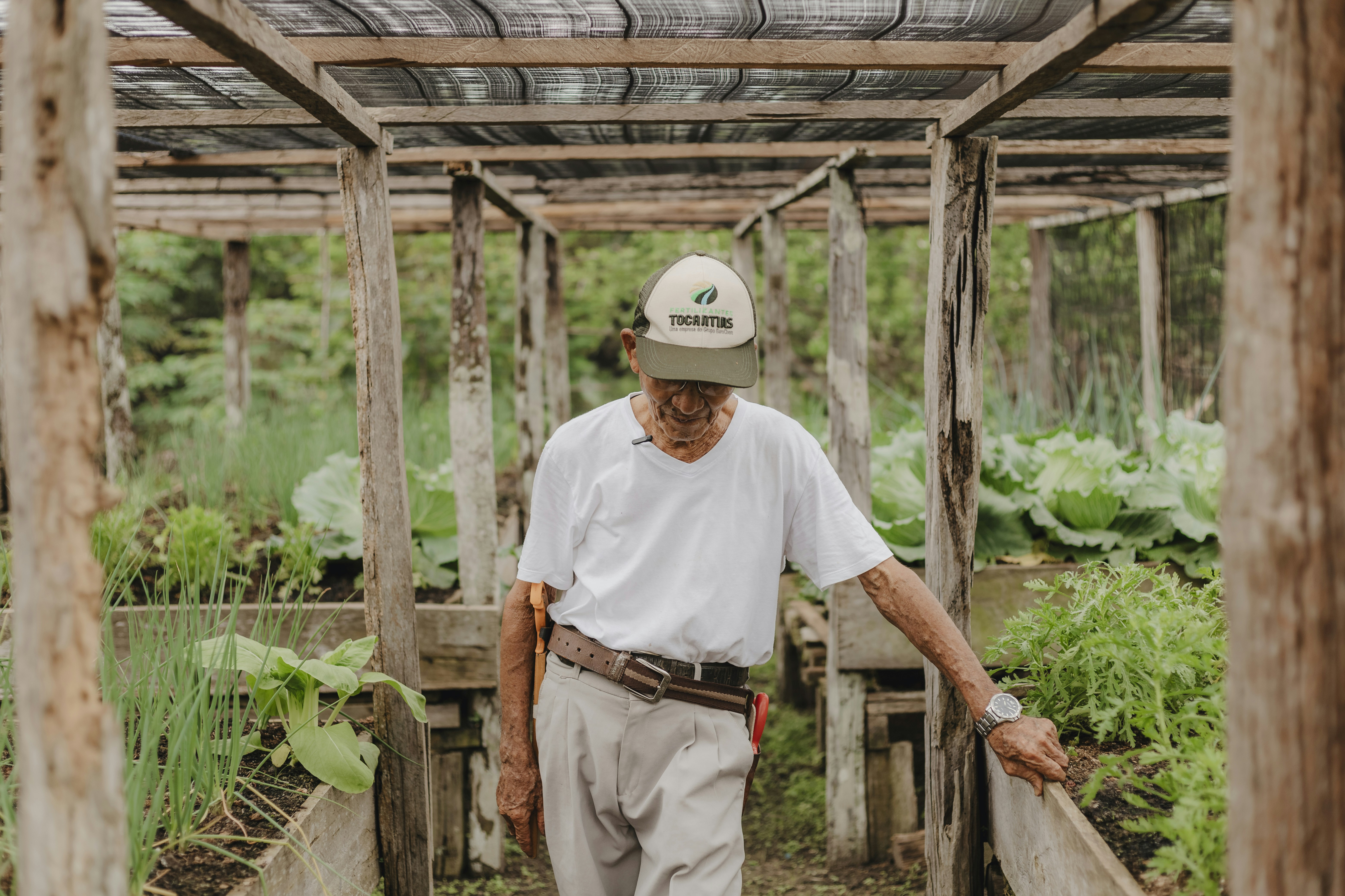 HISTORY CASA SUZUKI - FAMILY SUZUKI