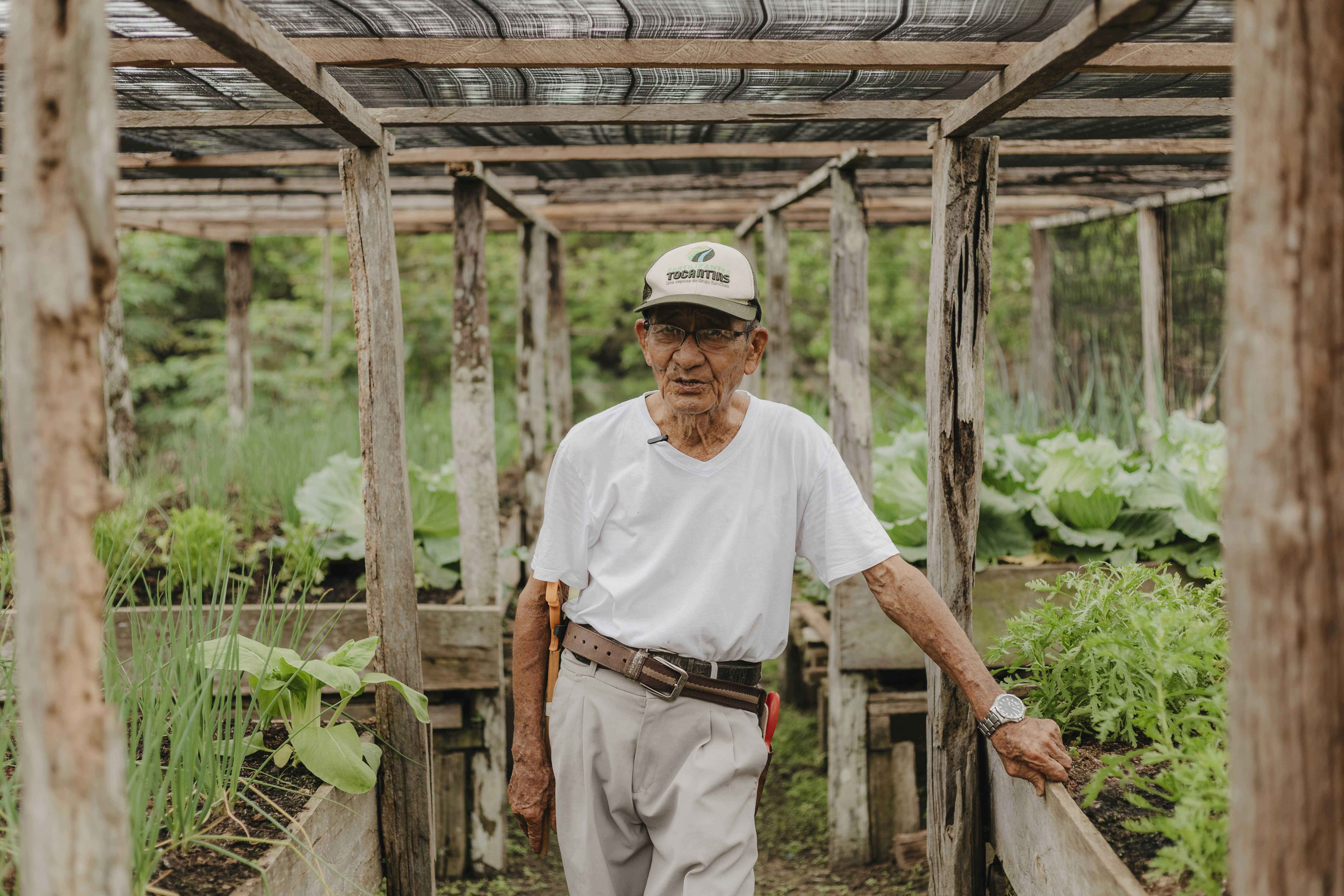 HISTORY CASA SUZUKI - FAMILY SUZUKI