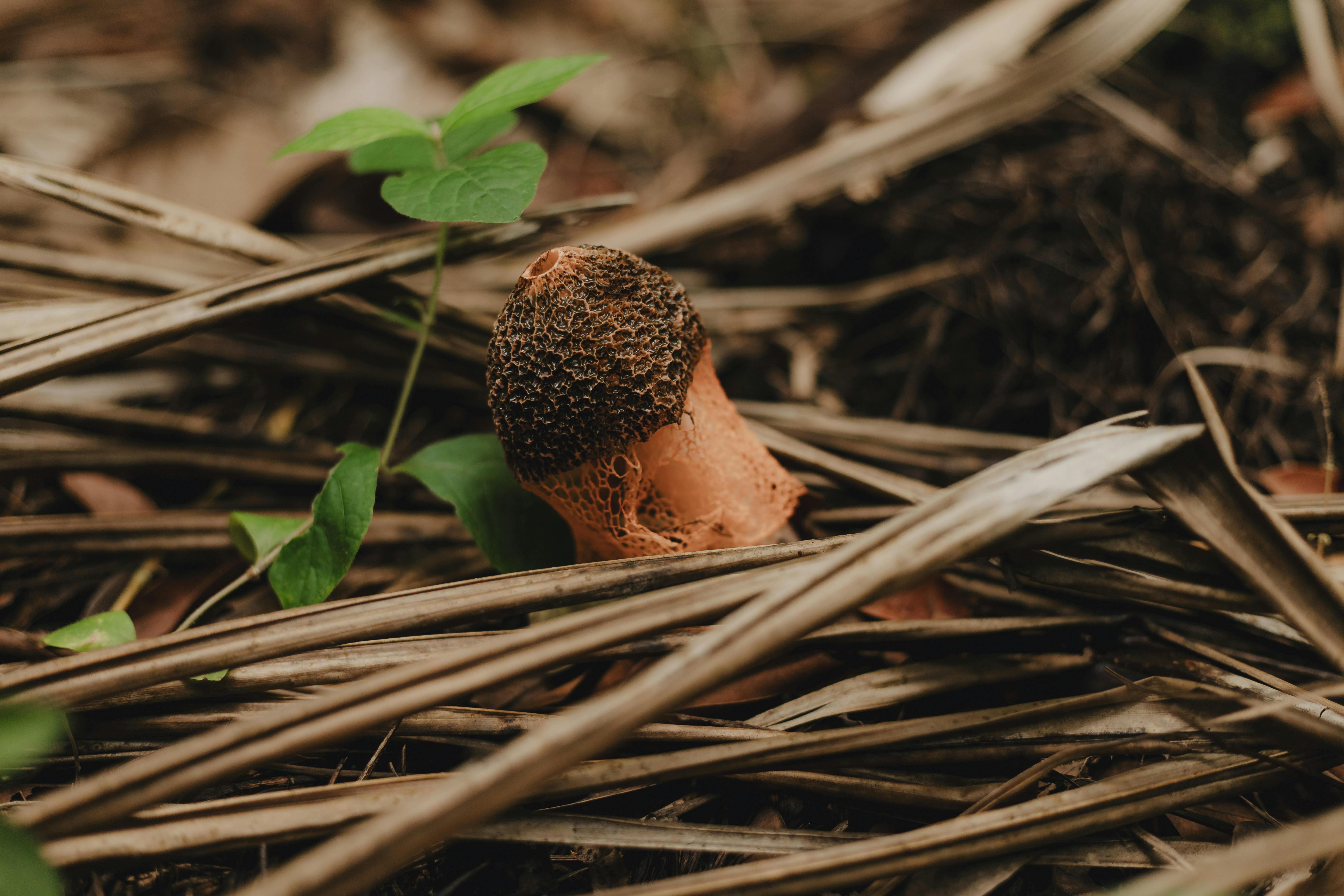 Photo by kawerodriguess