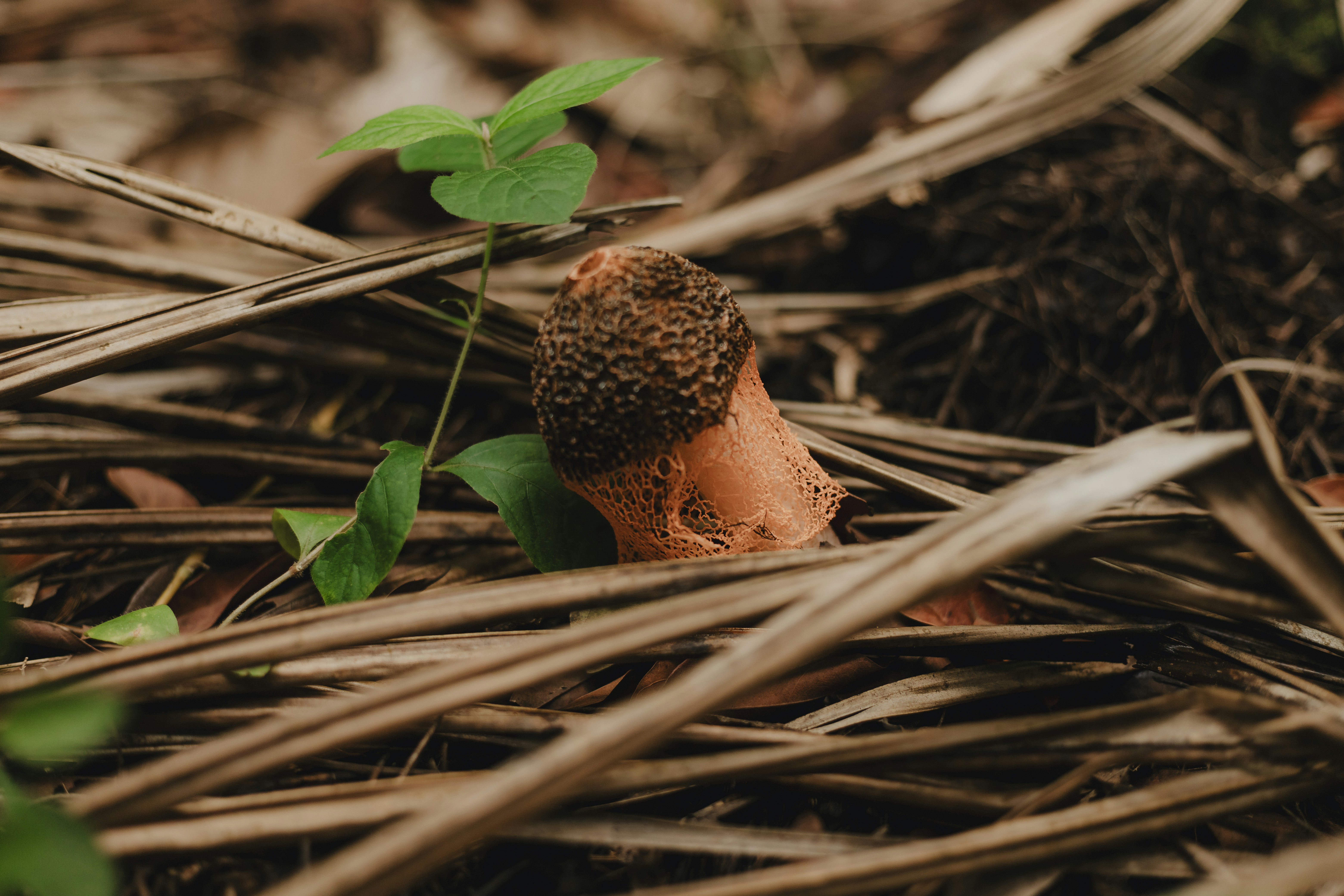 Photo by kawerodriguess