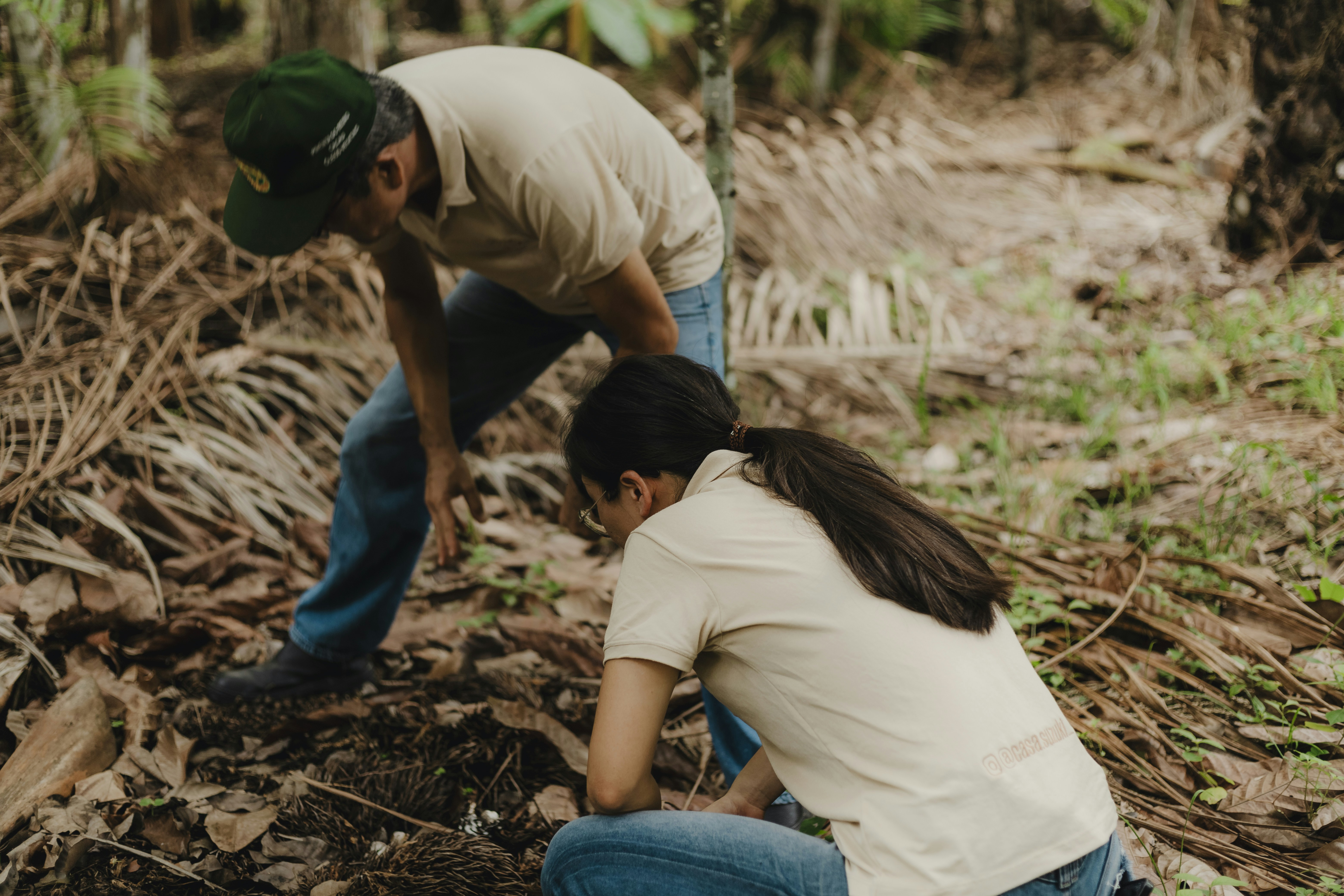 Volunteers planting native Hawaiian plants in a lush forest