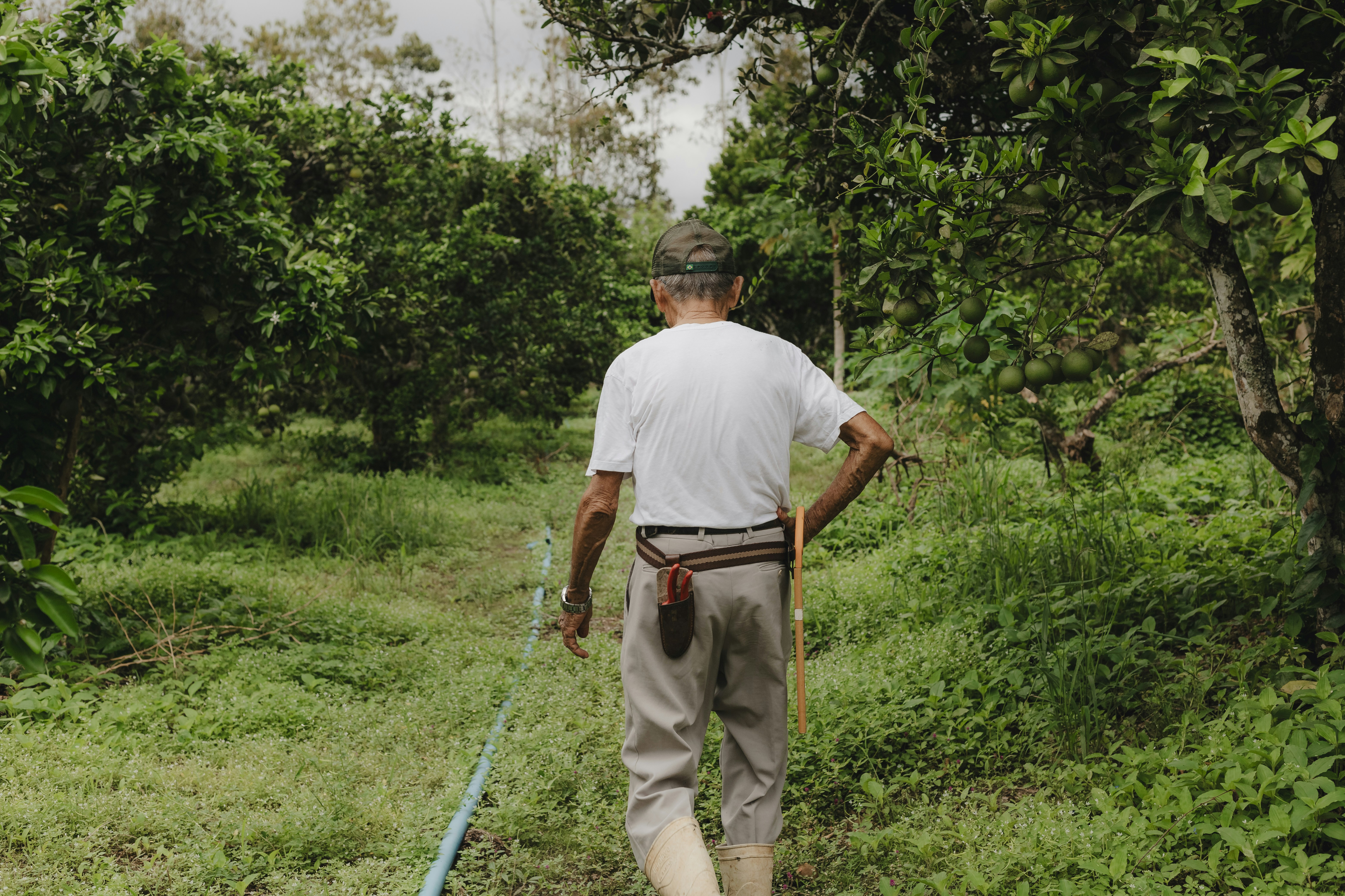 Photo by kawerodriguess