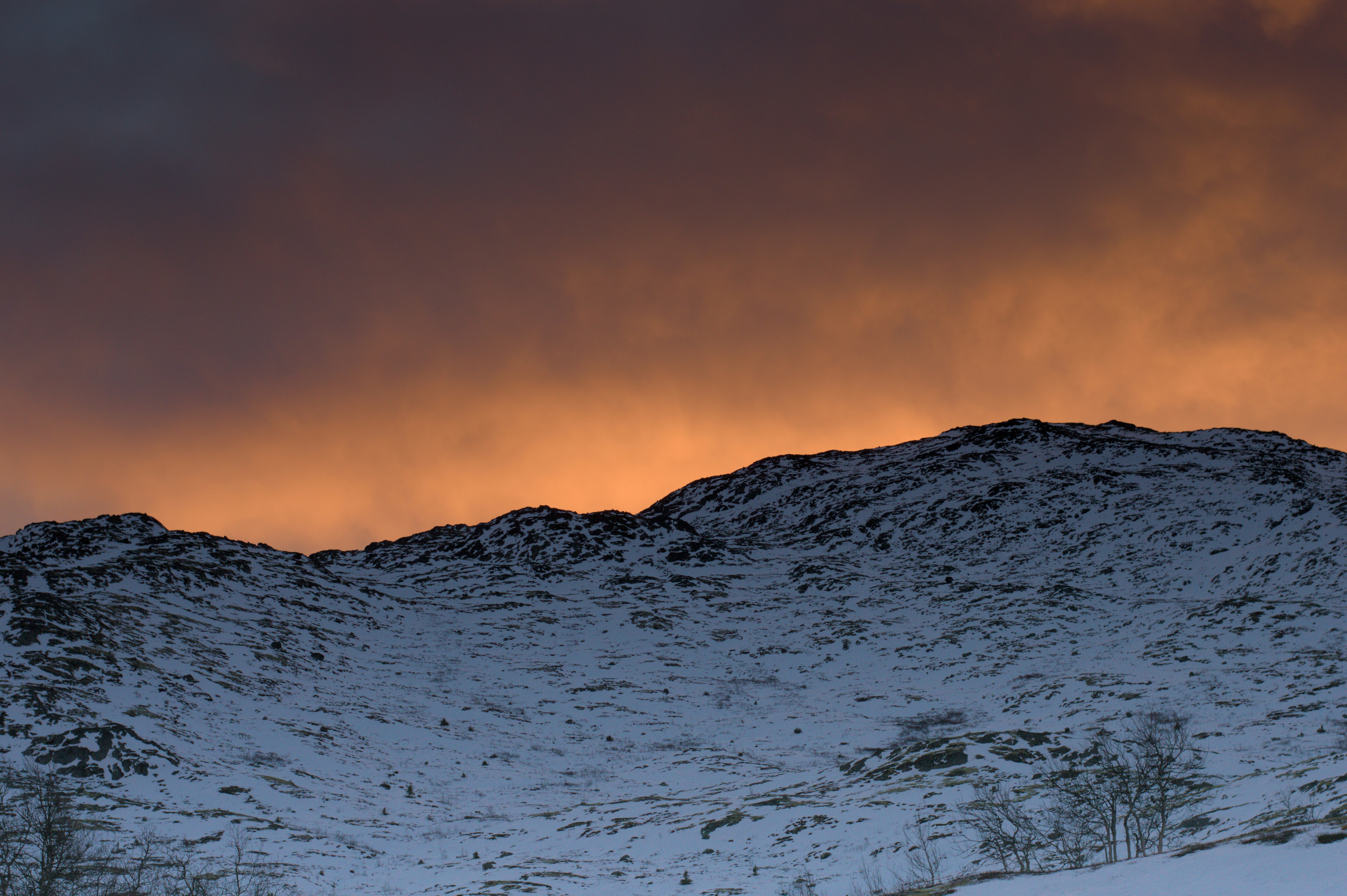 Photo by hannesknutsson