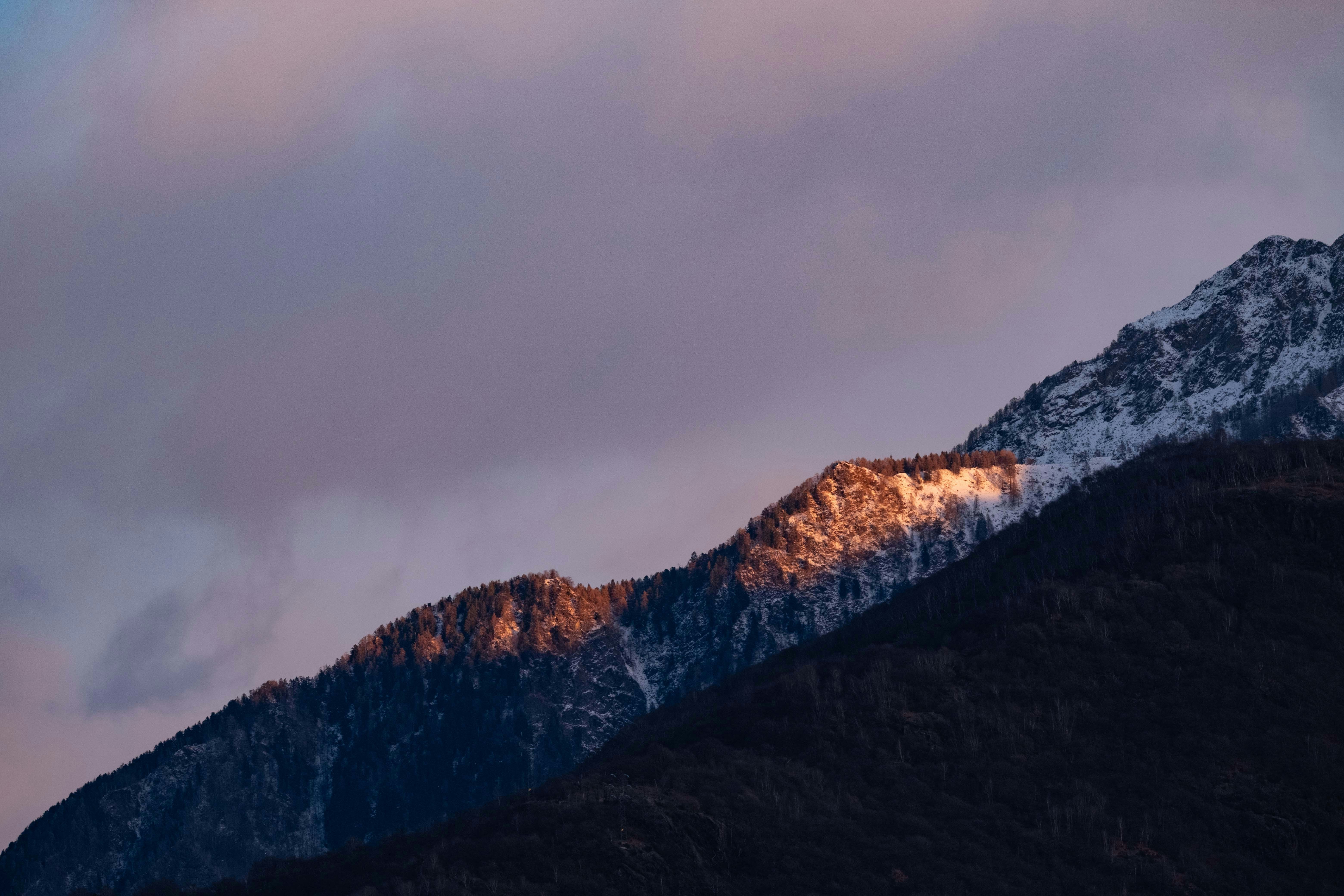 Photo by francesco_ungaro