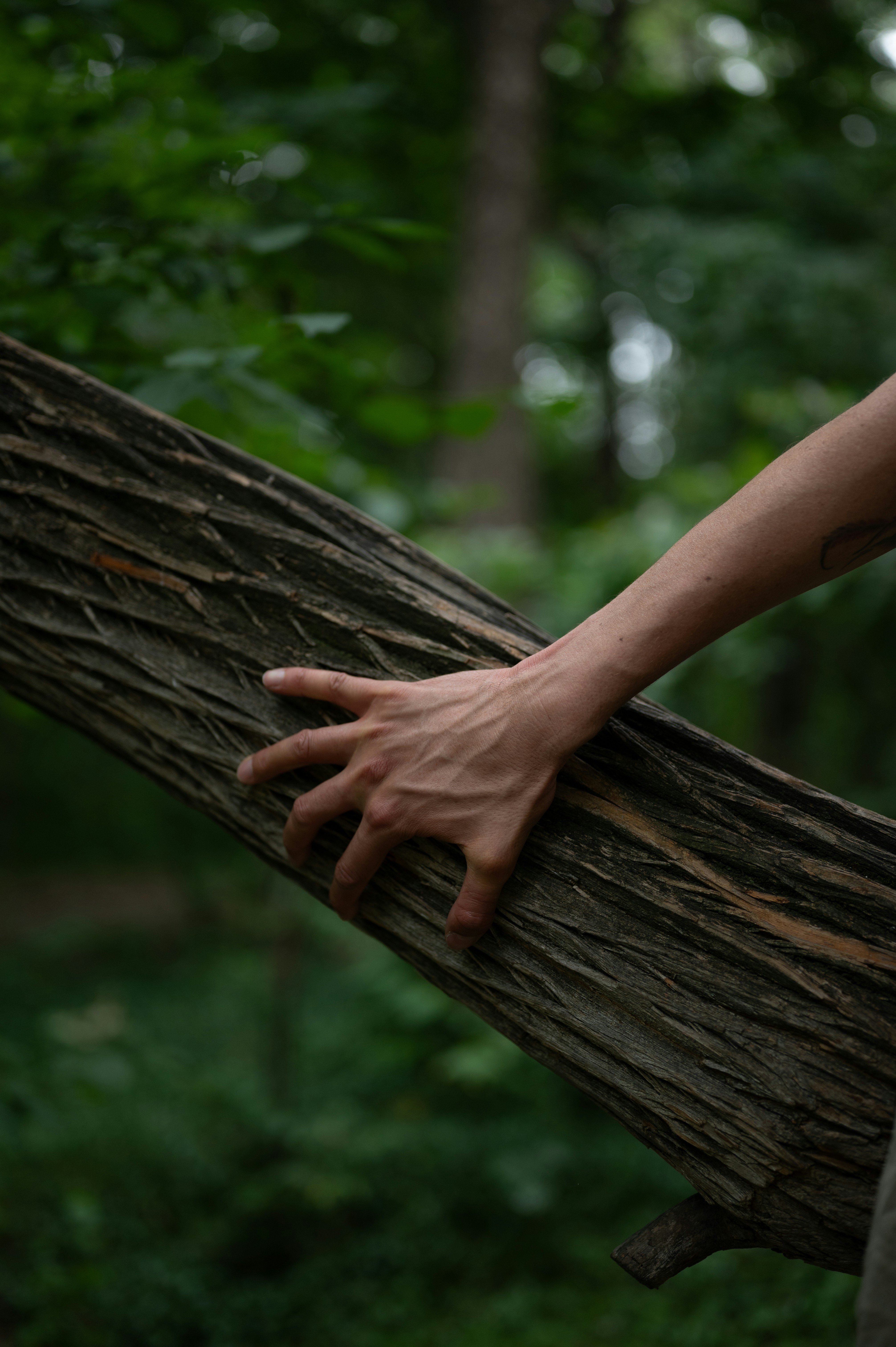 Photo by lucypetrosian