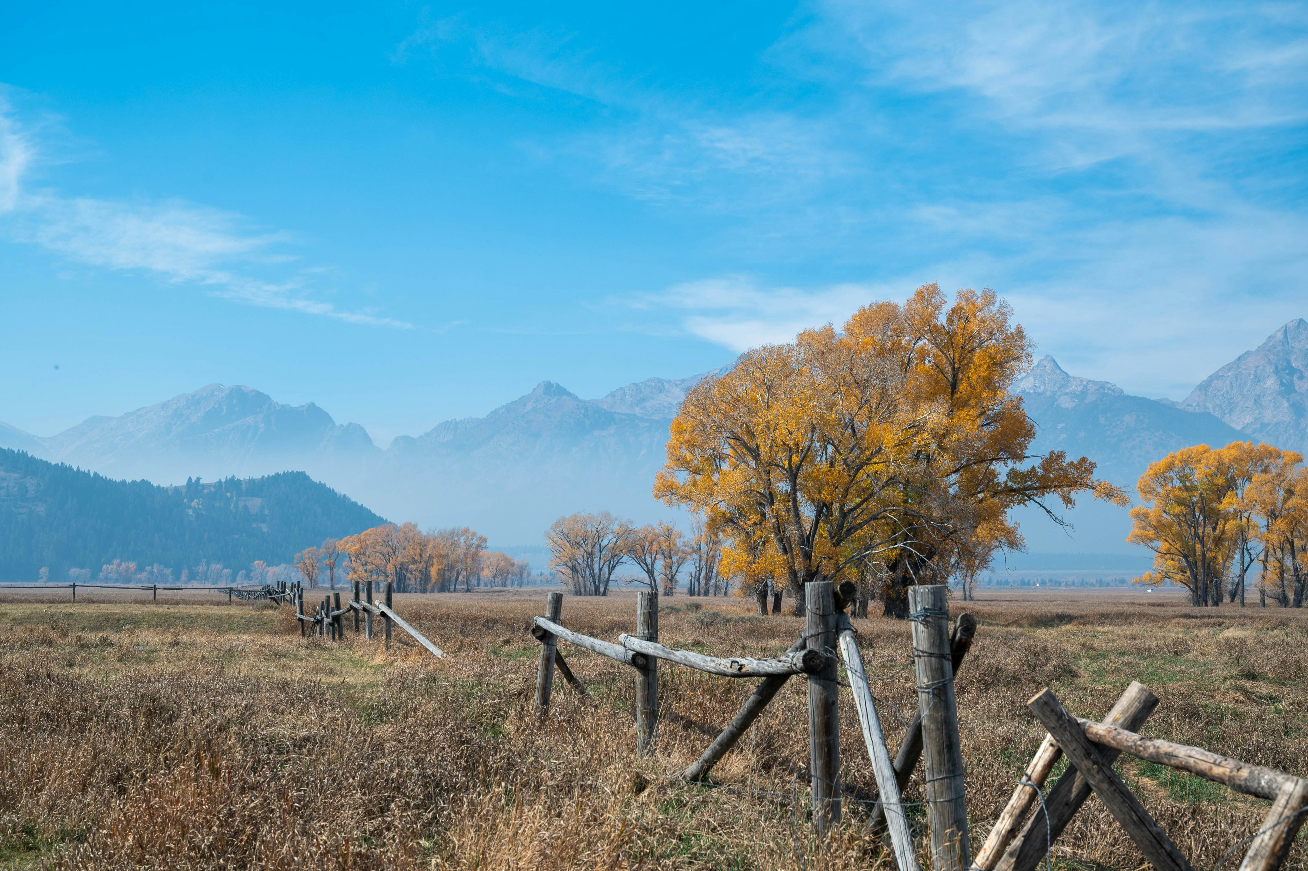 A wooden fence in a field with mountains in the background