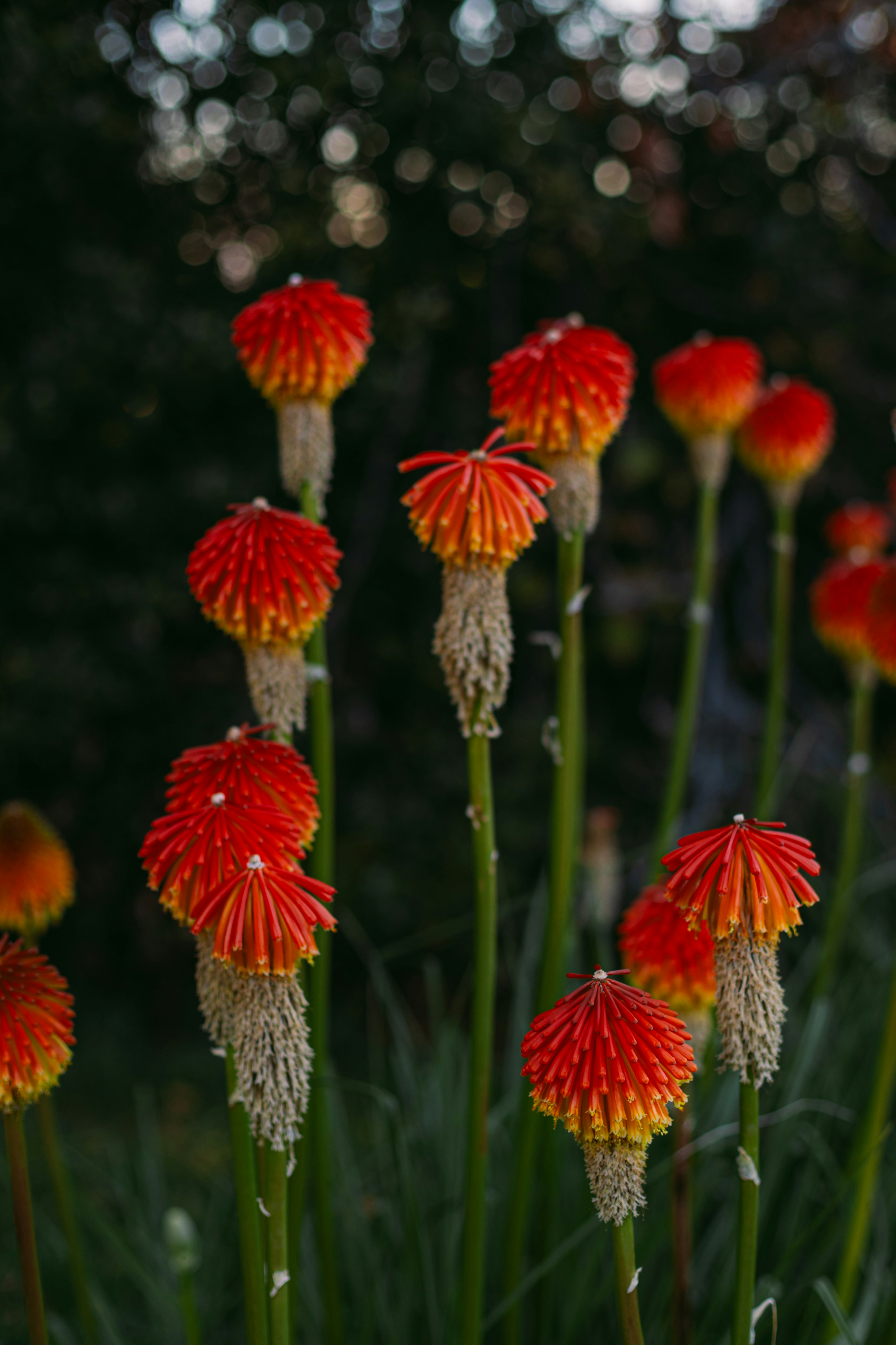 Photo by m1kedigital