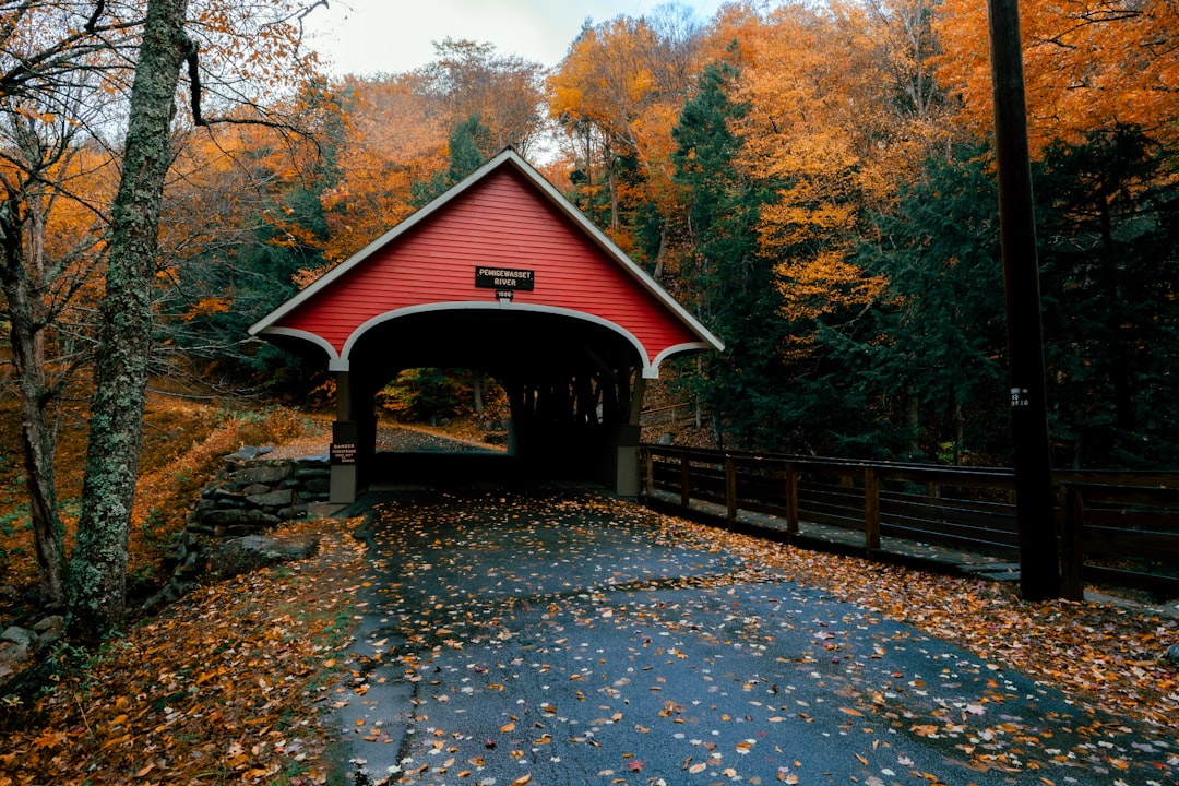 A covered bridge in the fall with leaves on the ground