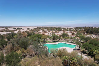 An aerial view of a pool surrounded by trees