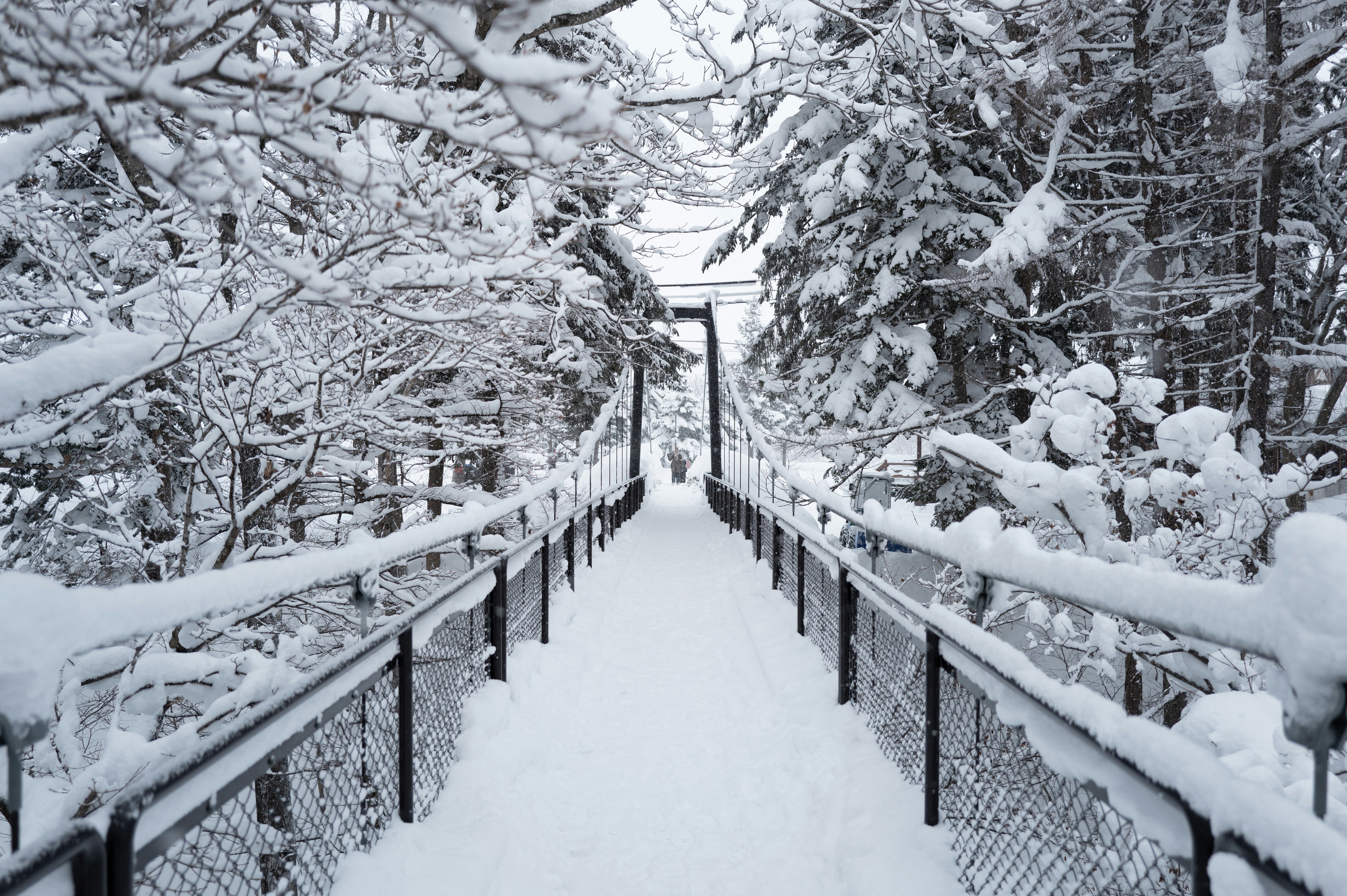 Una passerella innevata con alberi sullo sfondo