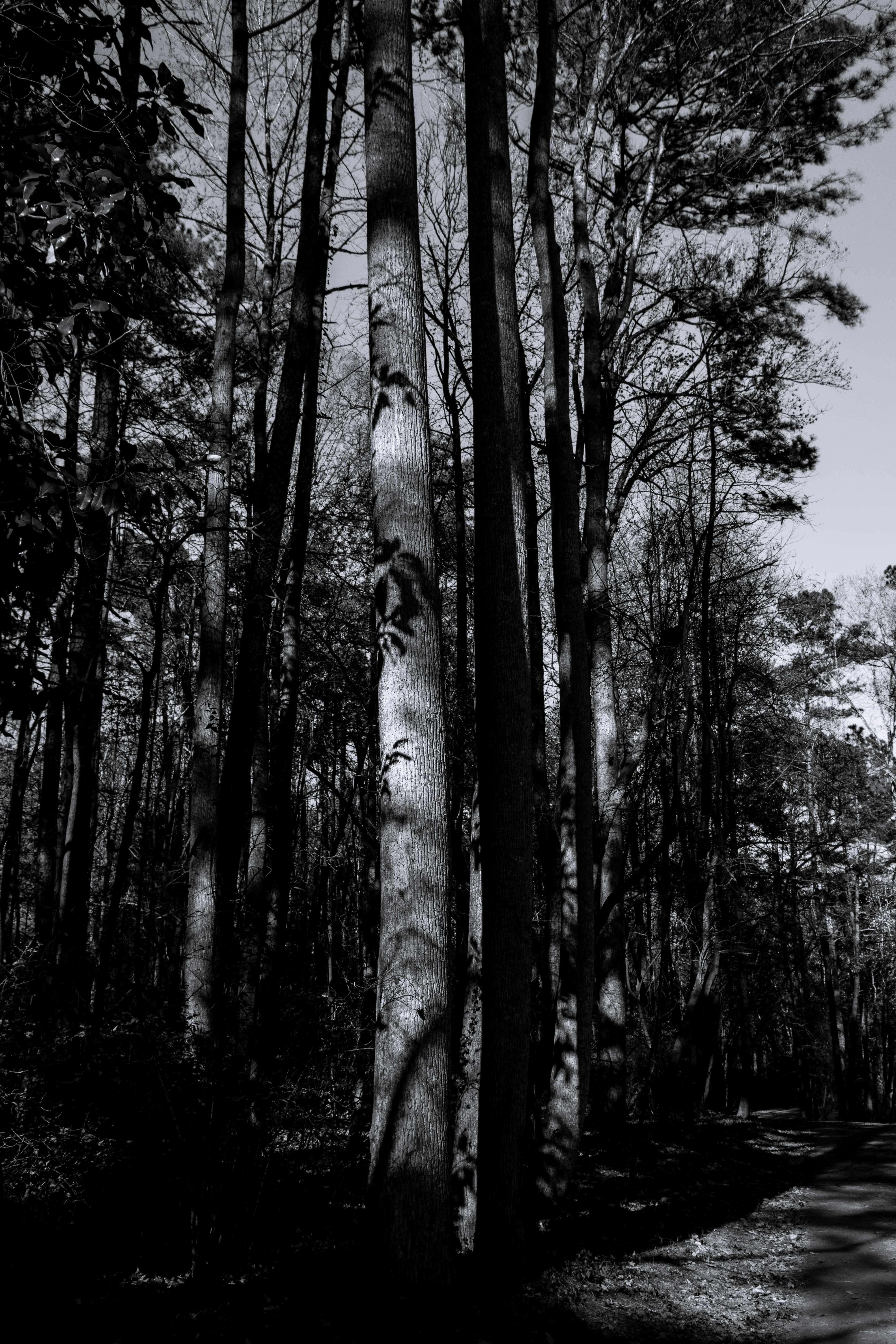 Photo by attaliehart