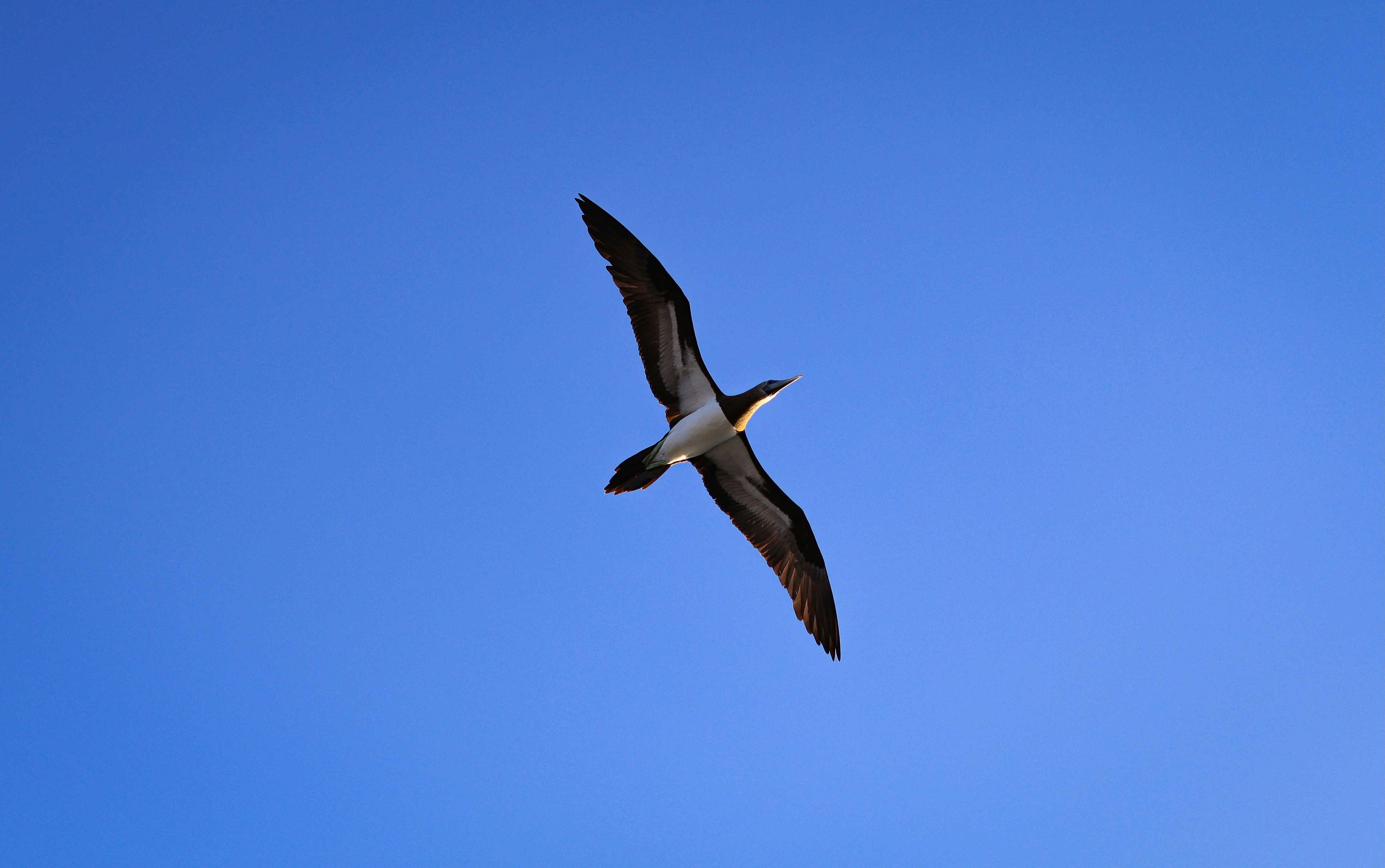 Photo by emilymhphoto