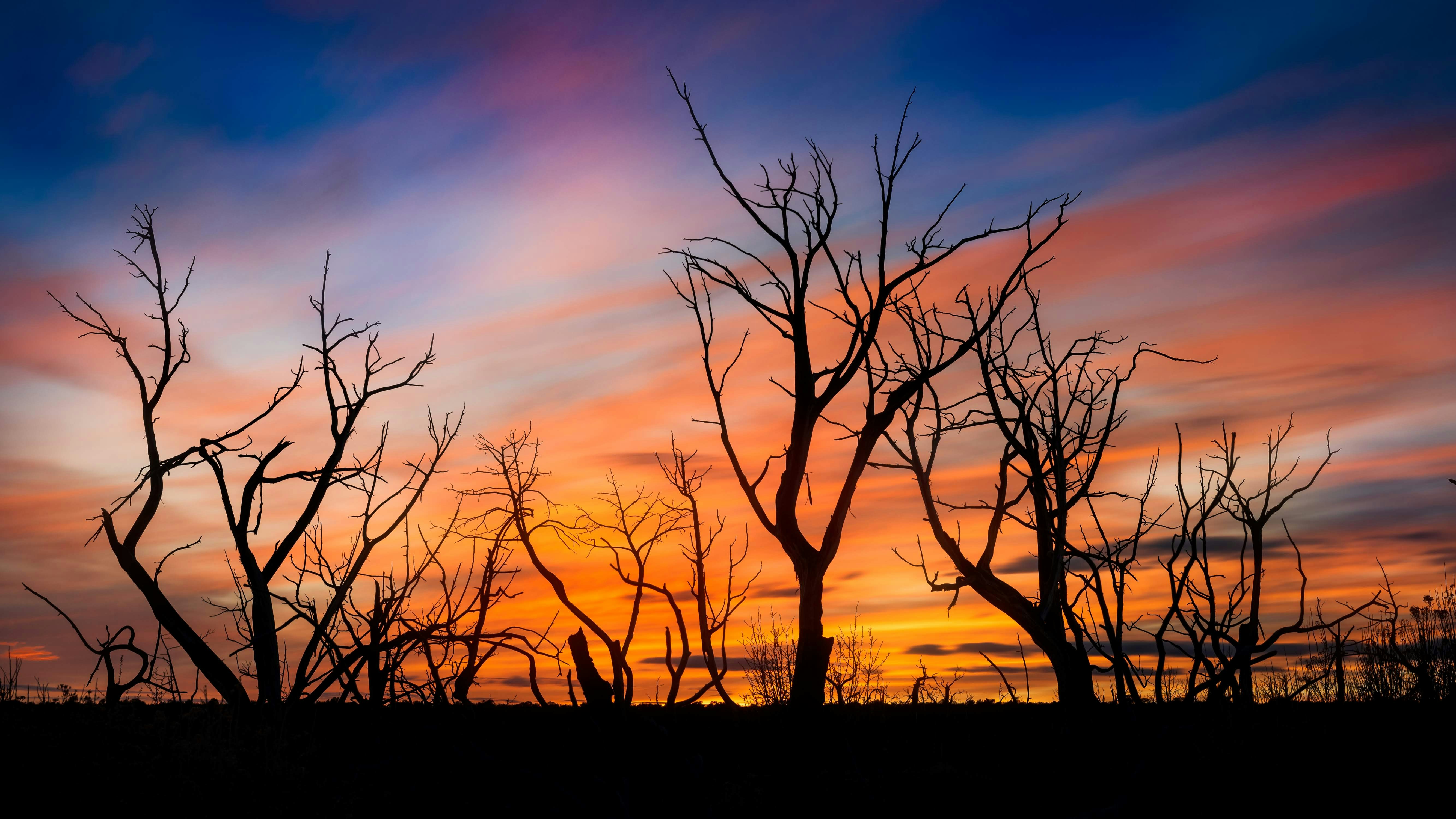 Photo by dennisjhaug