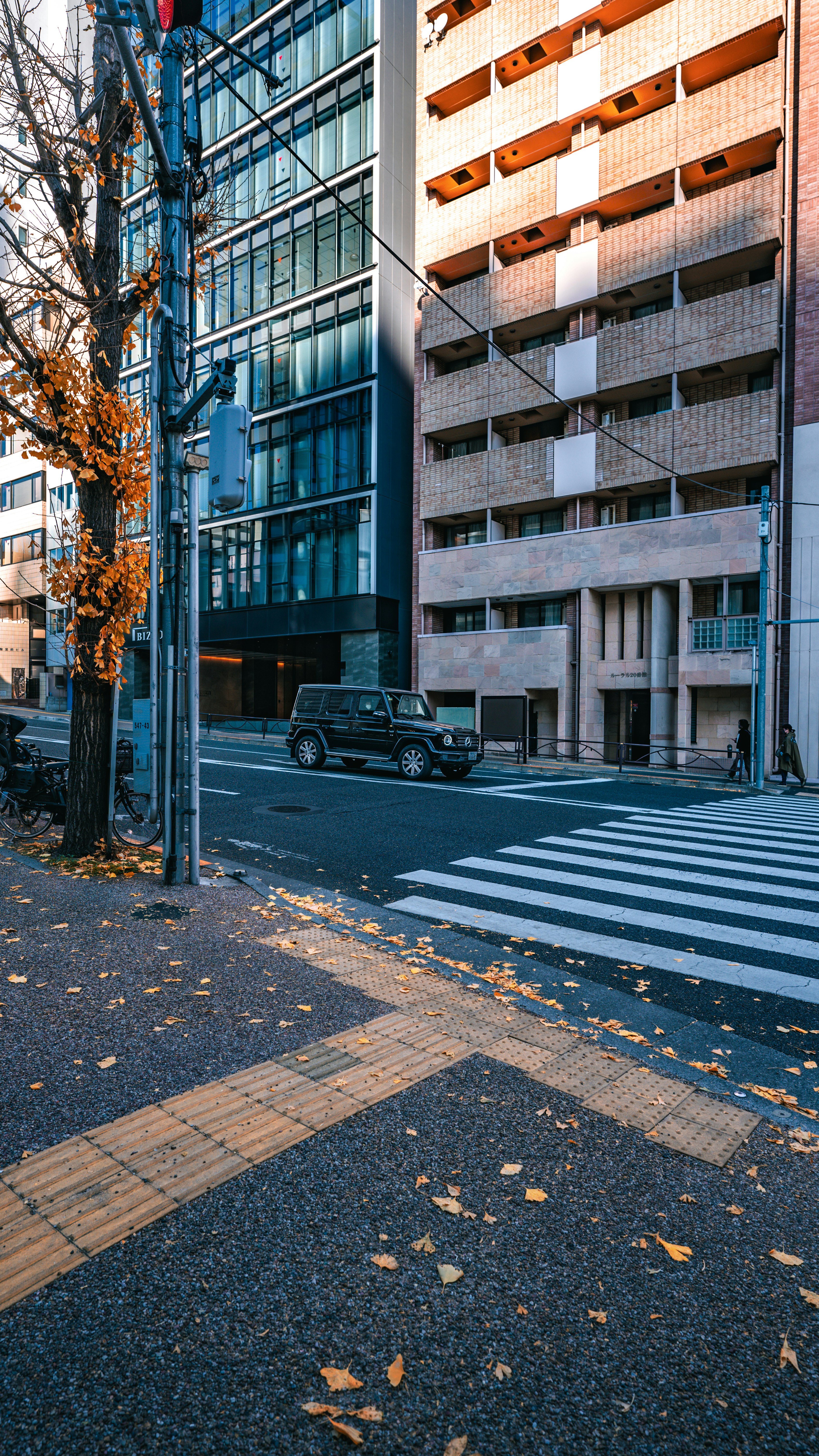 Photo by datalore