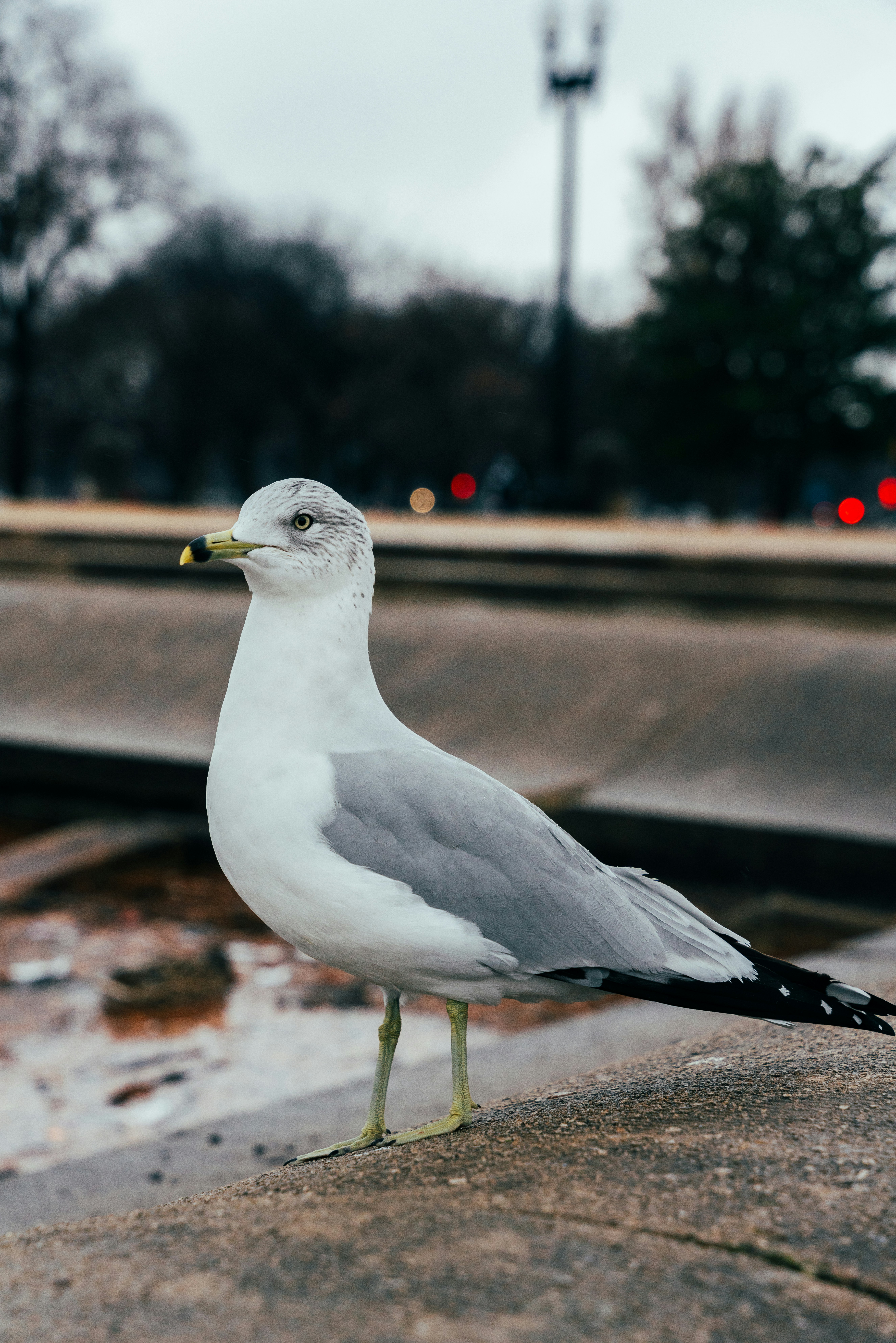 Photo by nellie_adamyan