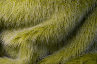 A close up of a green furry animal