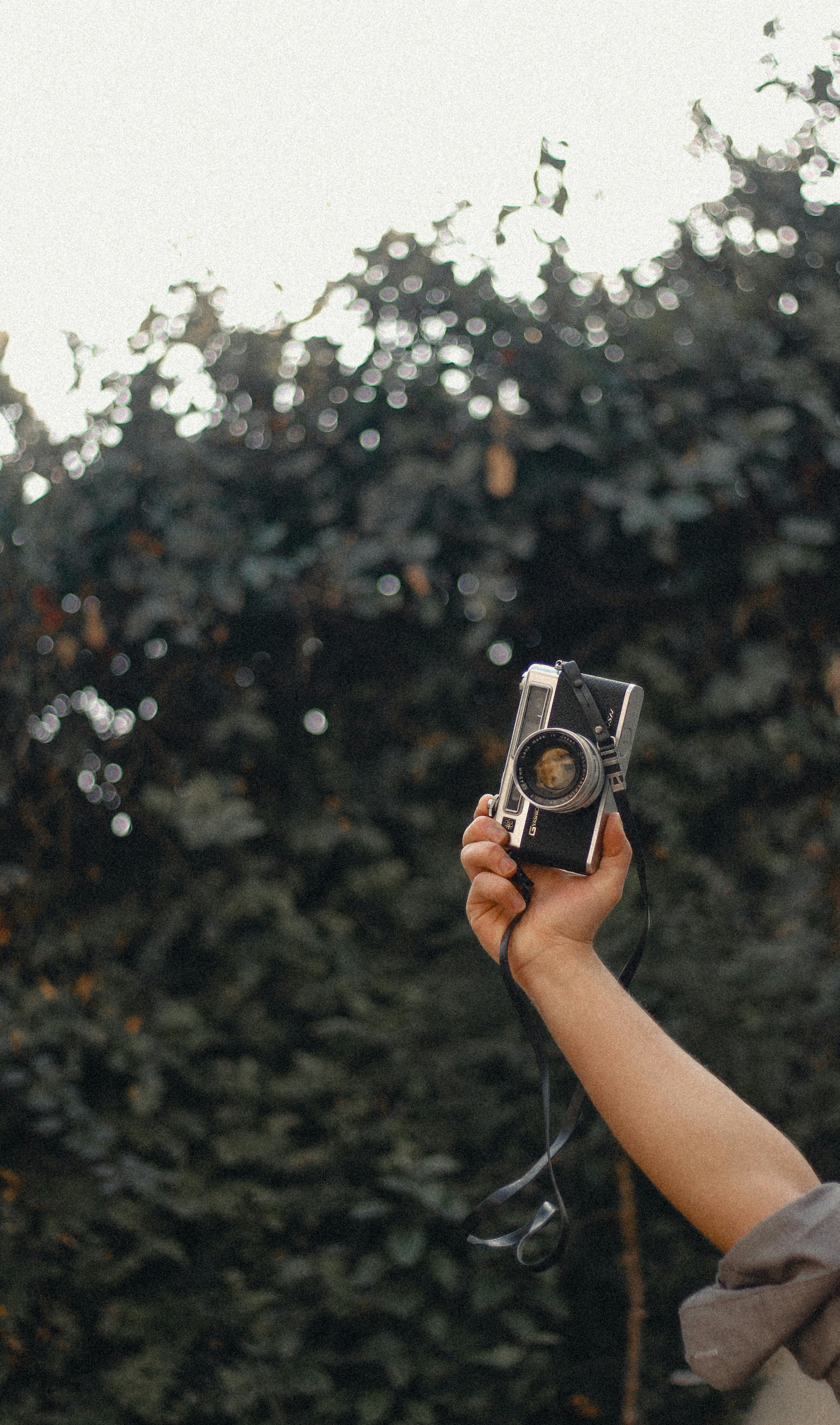 Photo by shamaunmalik