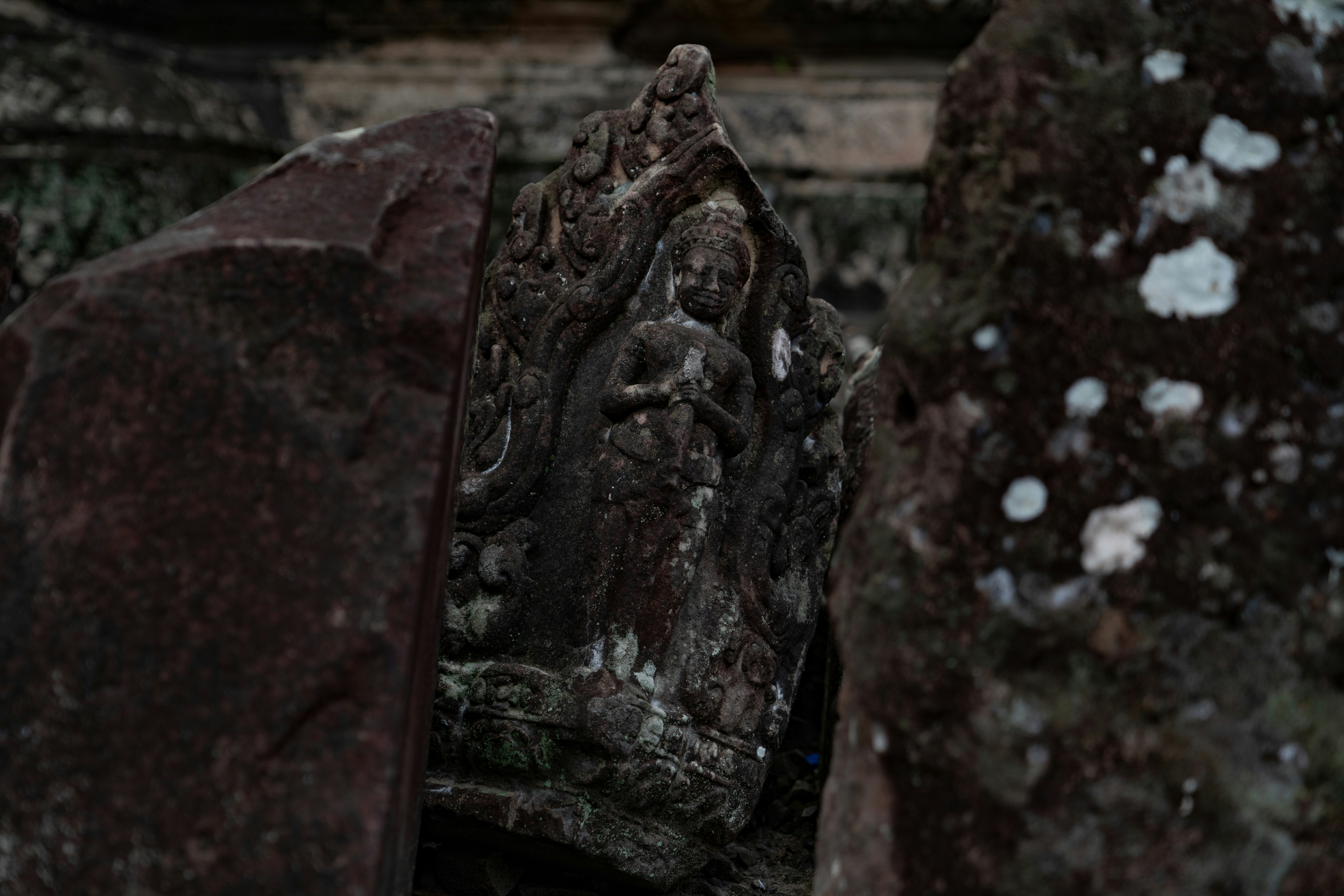 A close up of a rock with a bird perched on top of it