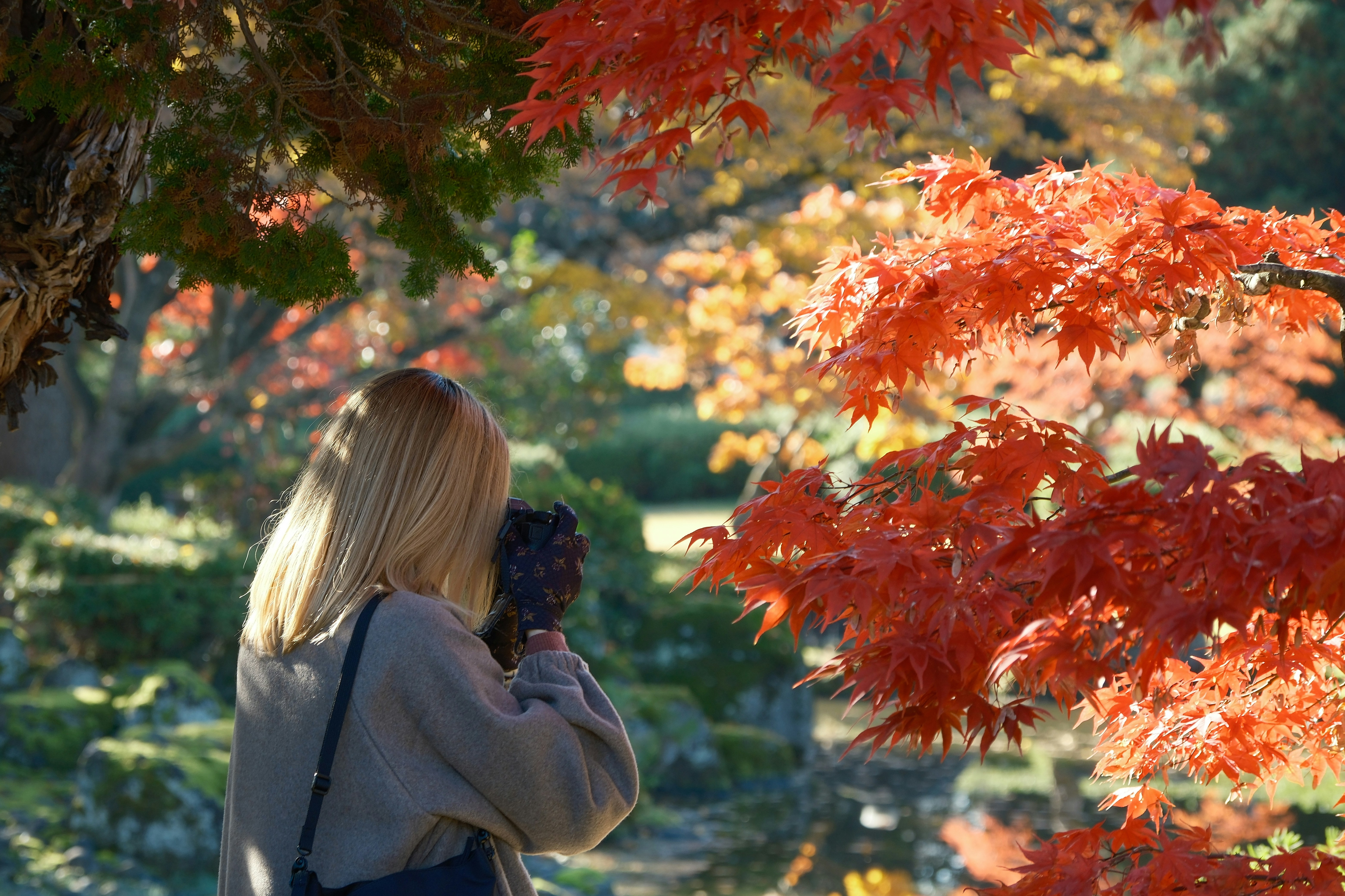Photo by seiya_maeda
