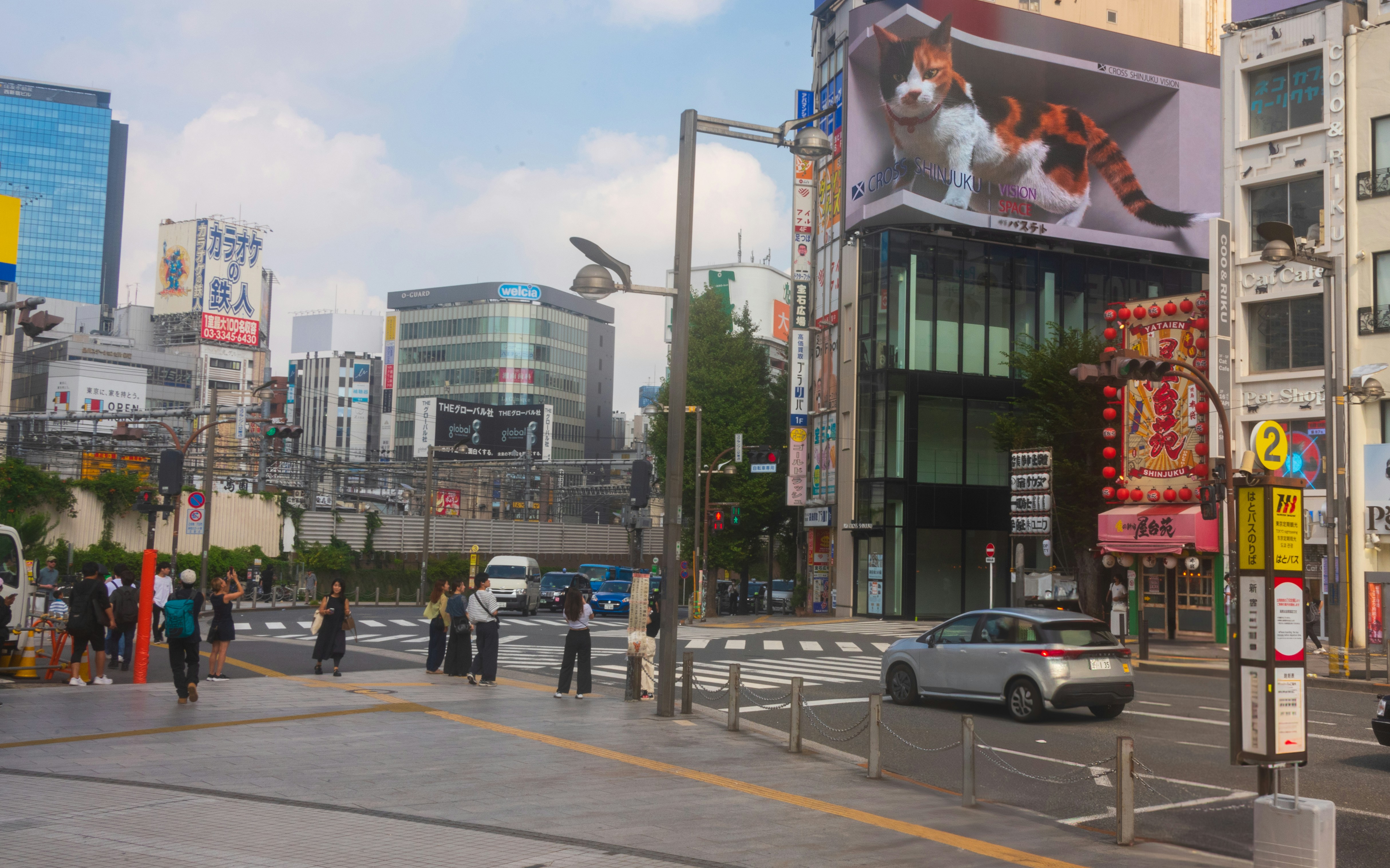 Photo by translytranslations