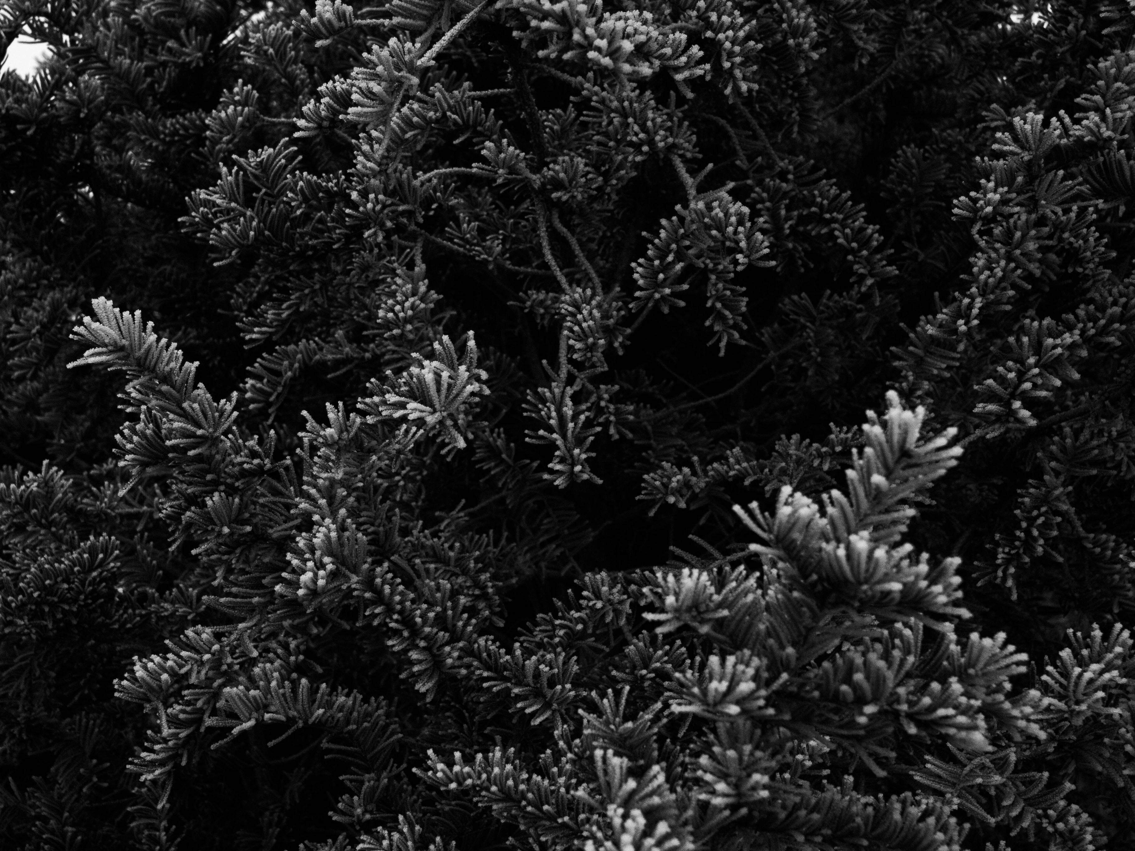 Photo by myworldisblue