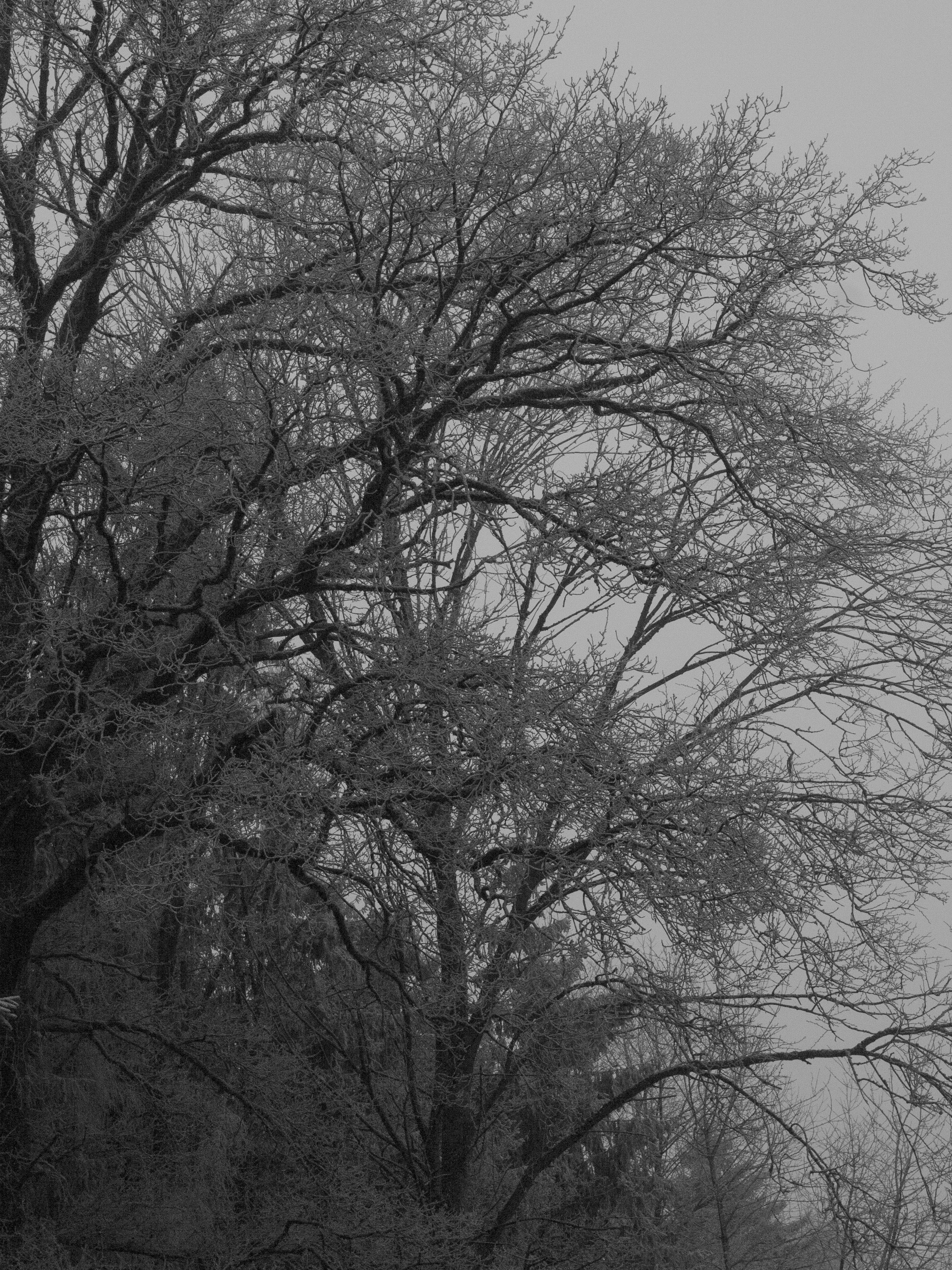 Photo by myworldisblue