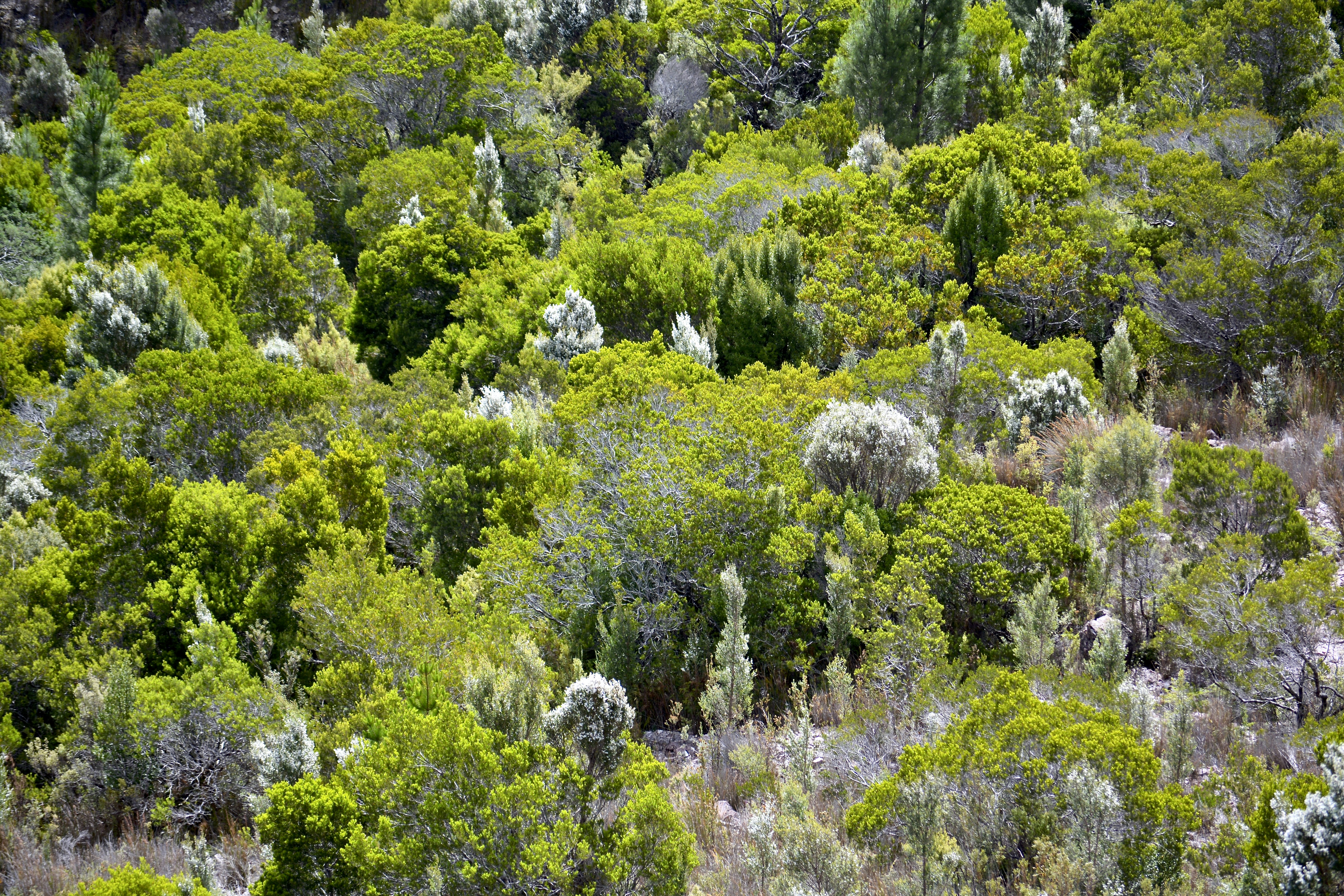 Photo by kshithijchandrashekar