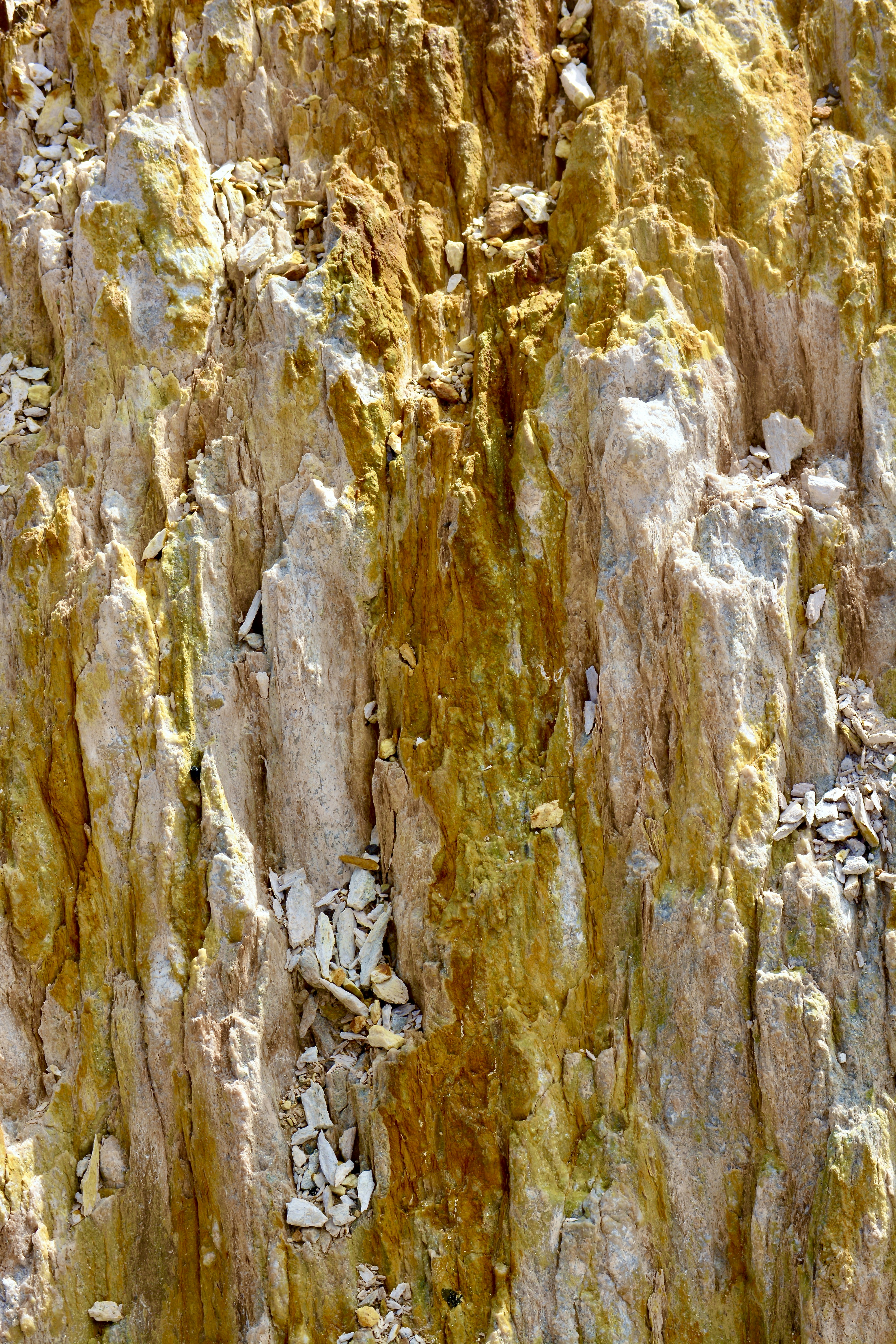 A bird is perched on a rock formation
