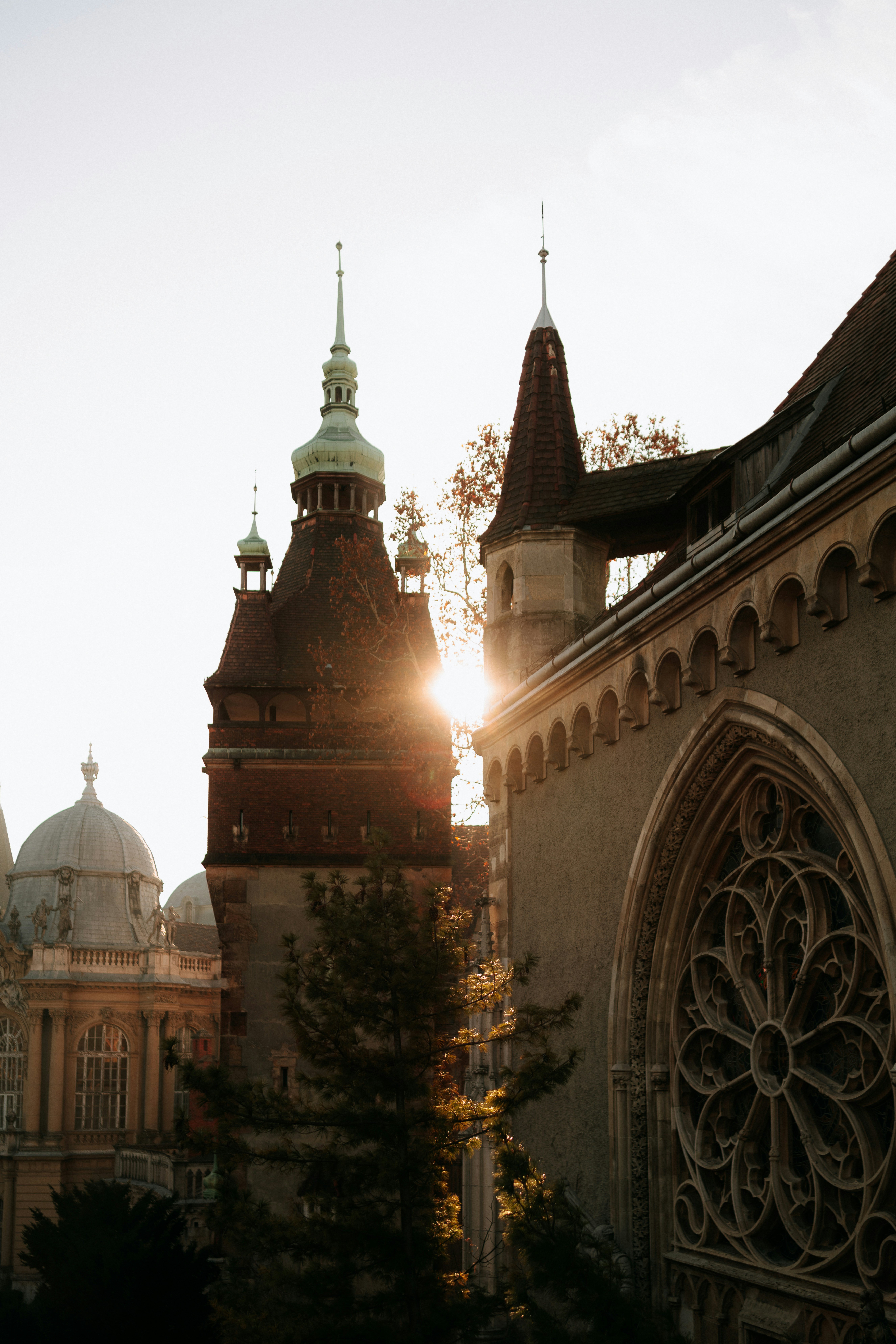 Photo by rebecatrifan