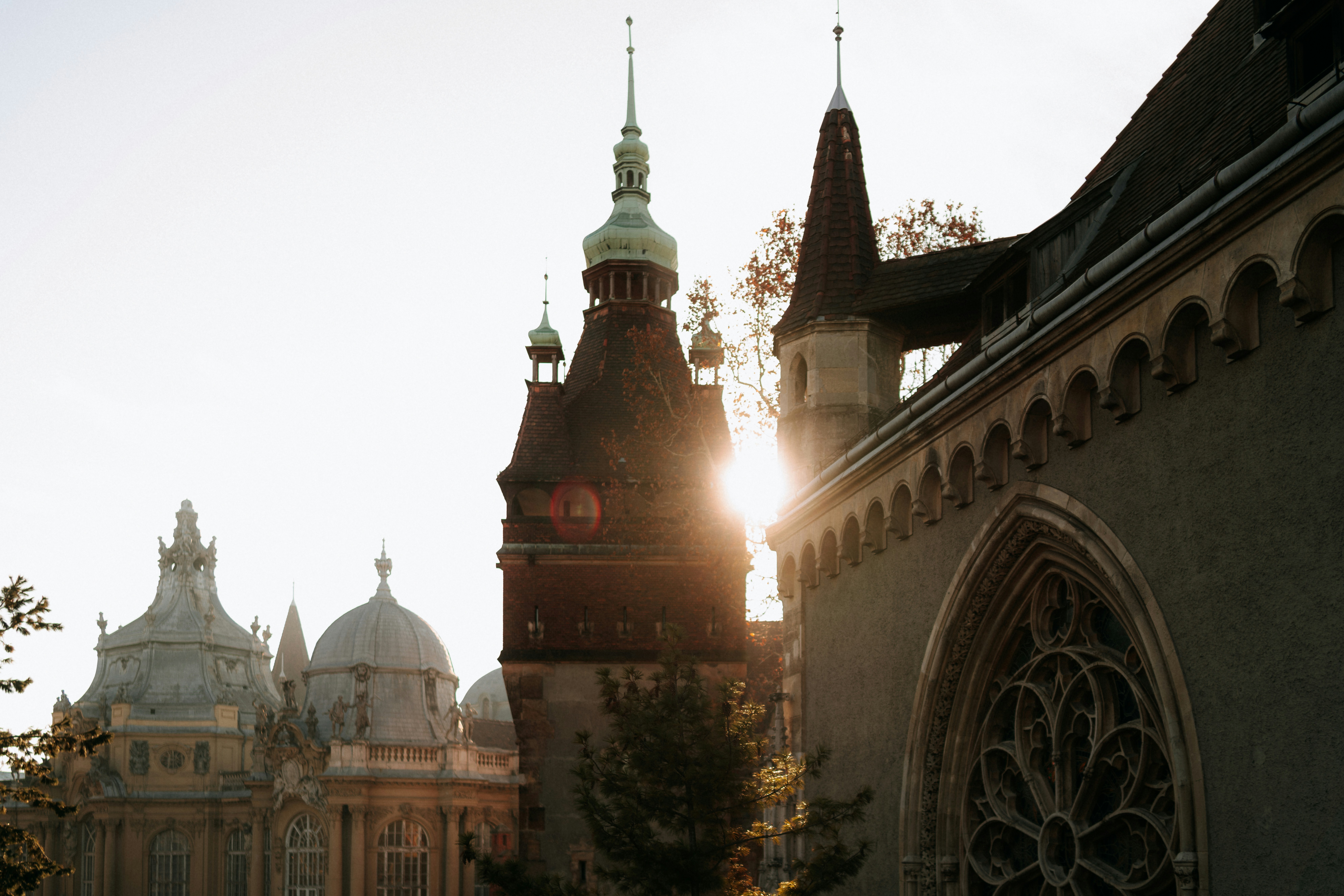 Photo by rebecatrifan