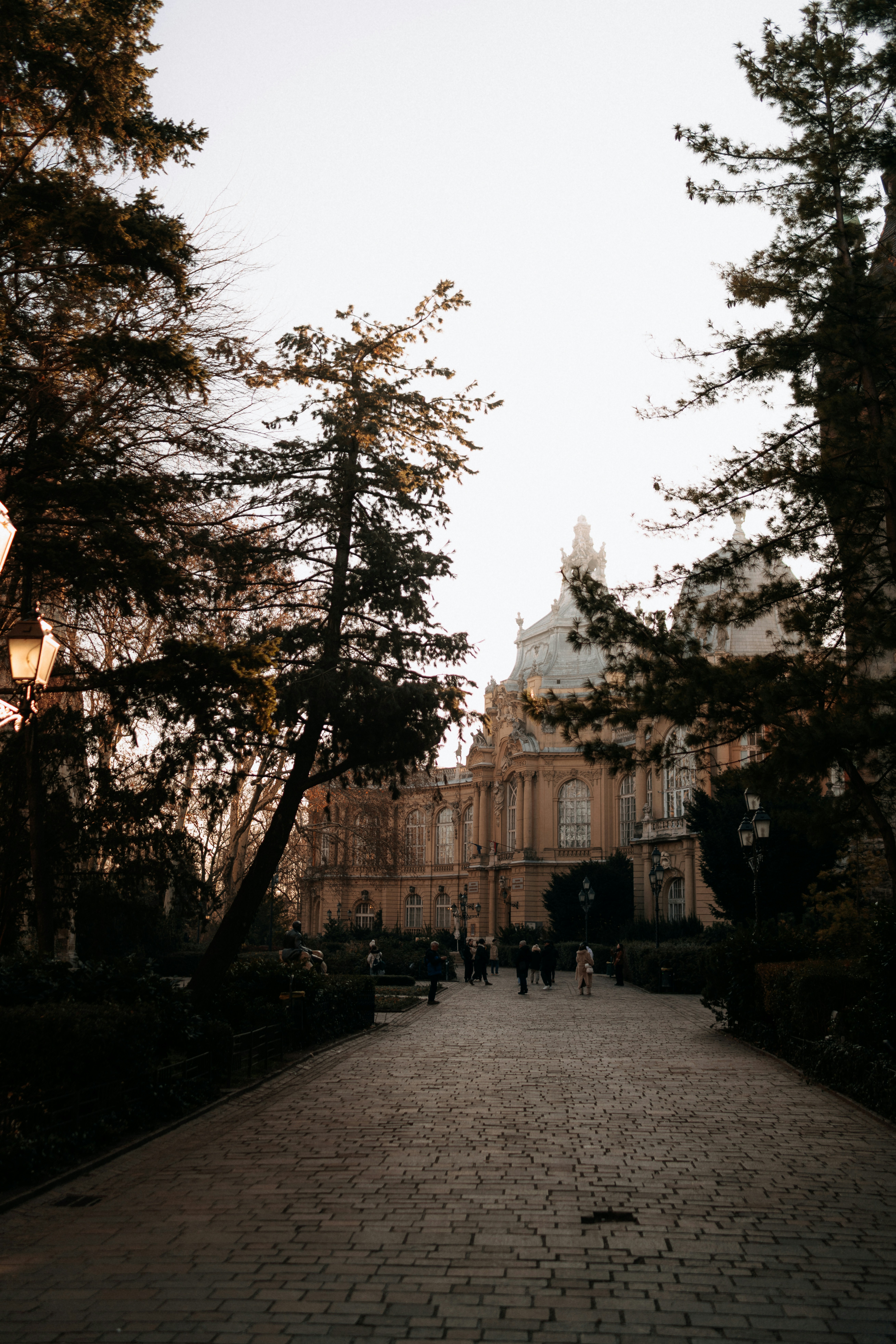 Photo by rebecatrifan