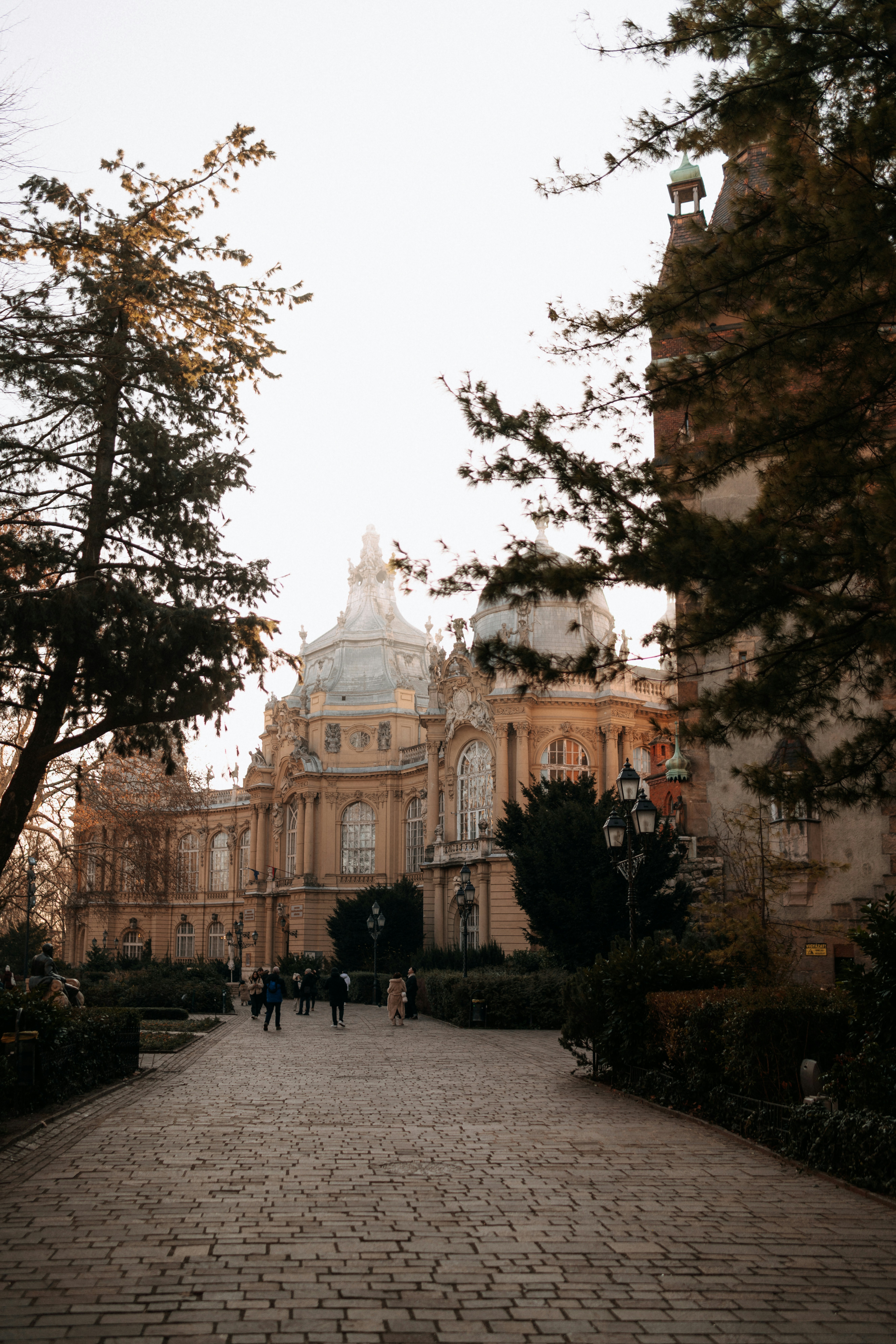 Photo by rebecatrifan