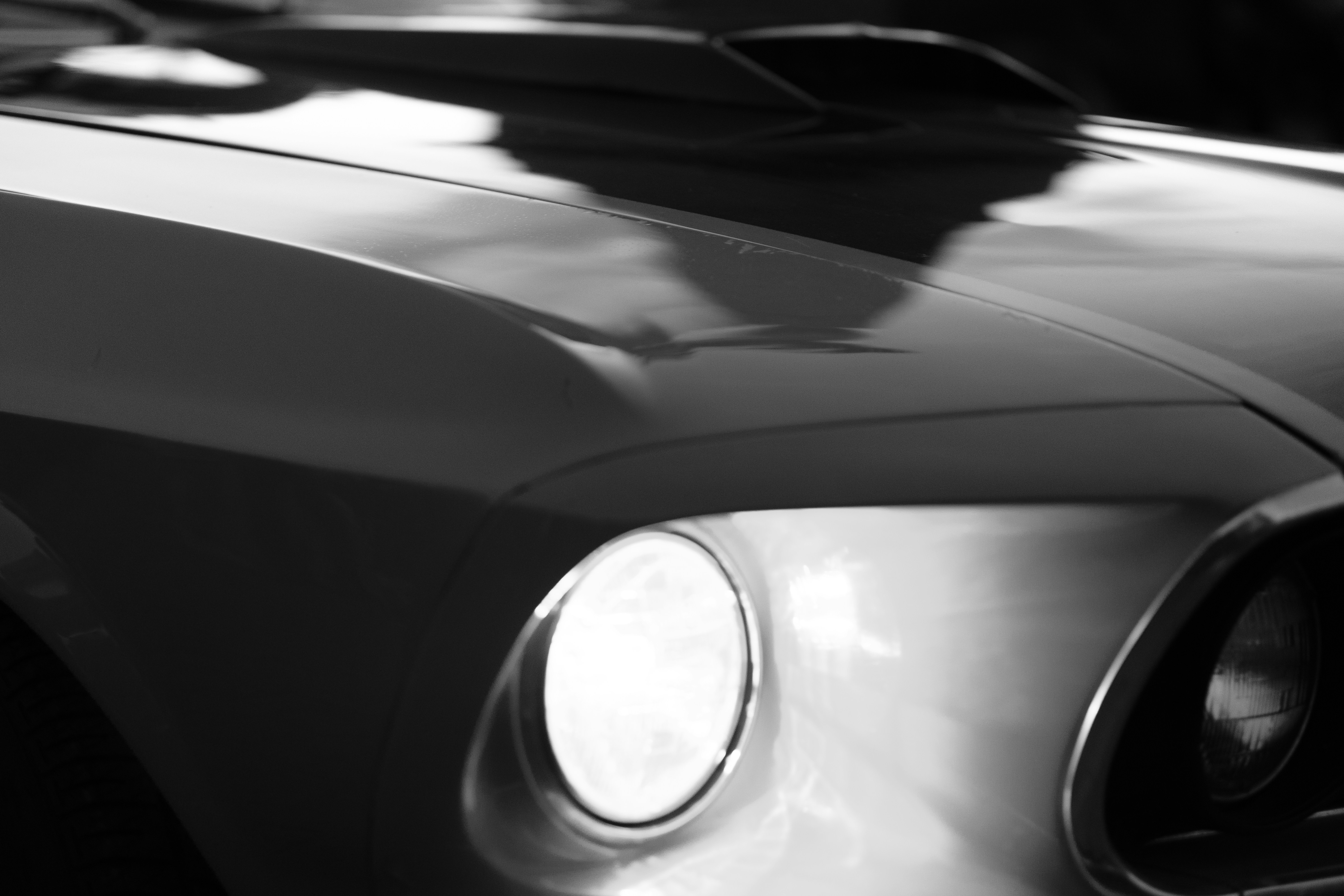 Photo by feodorchistyakov