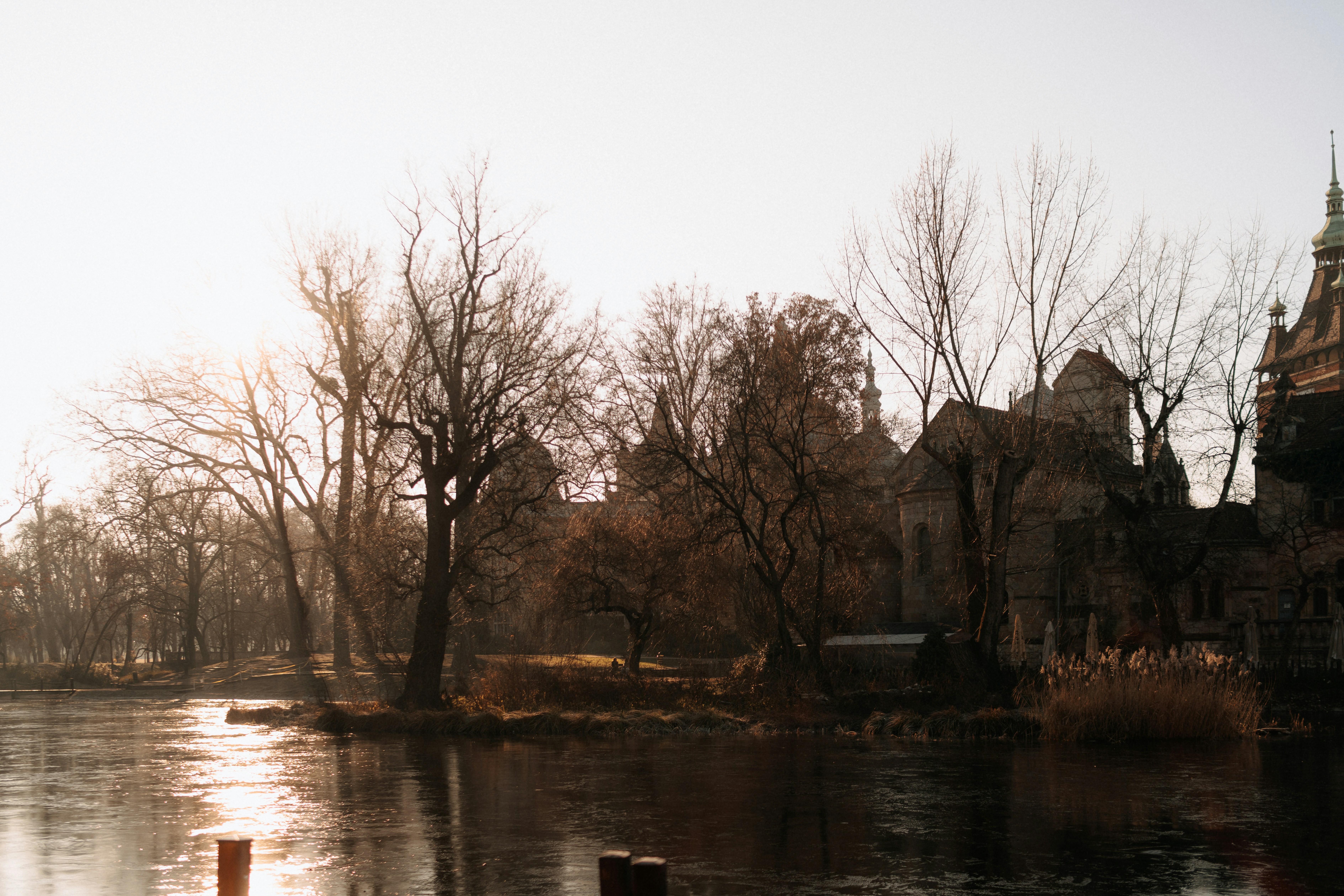 Photo by rebecatrifan