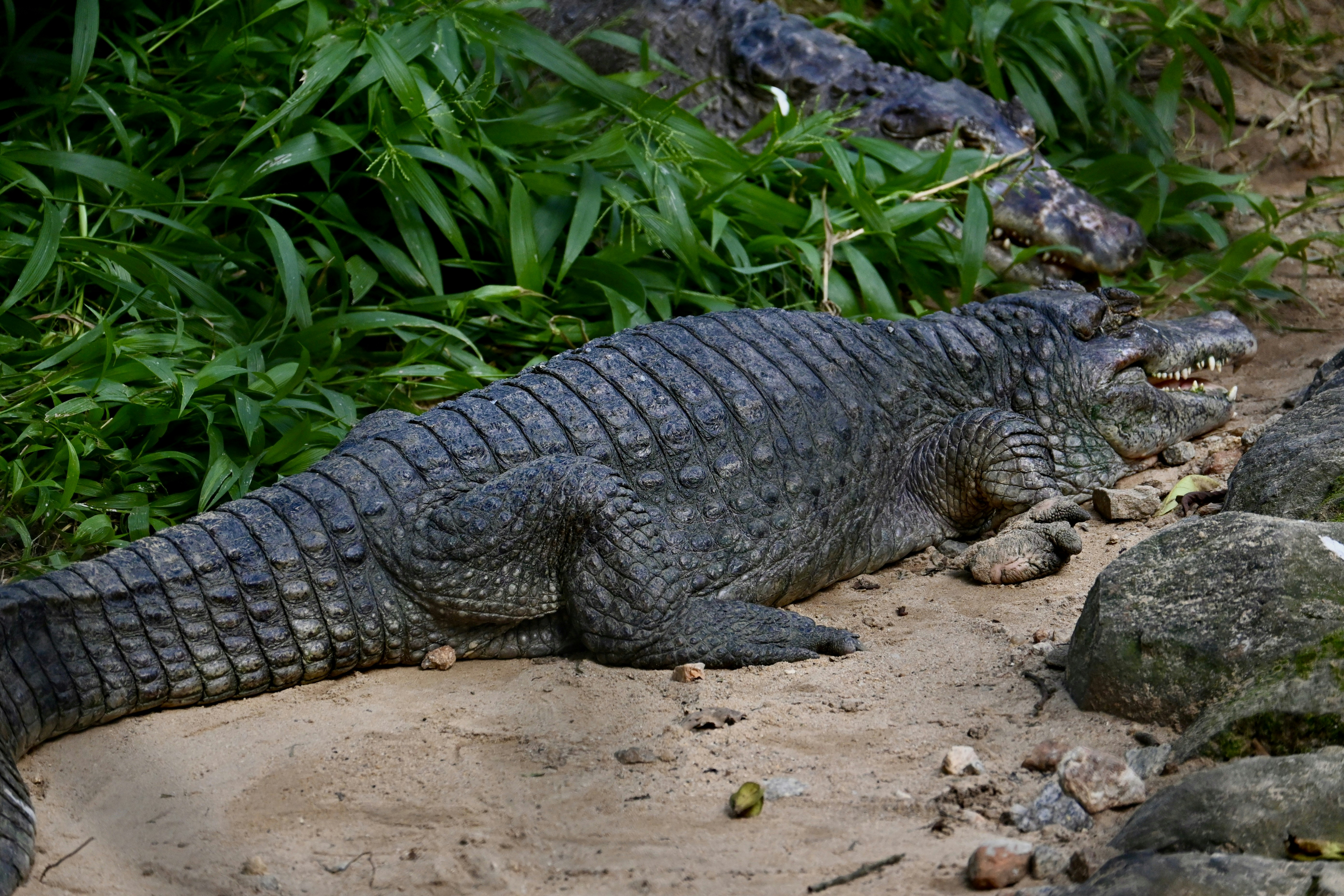 Photo by praswinprakashan