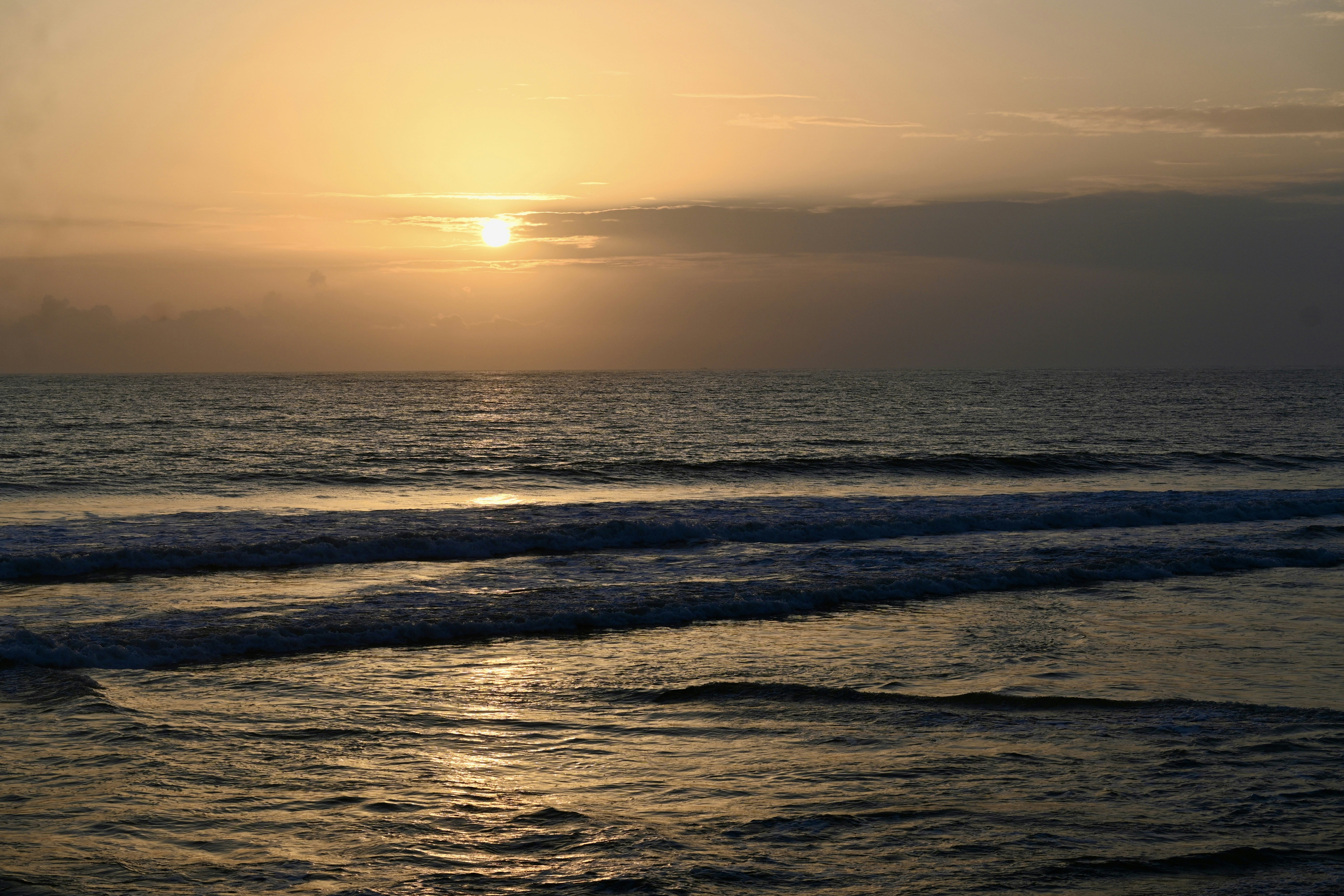 Photo by praswinprakashan