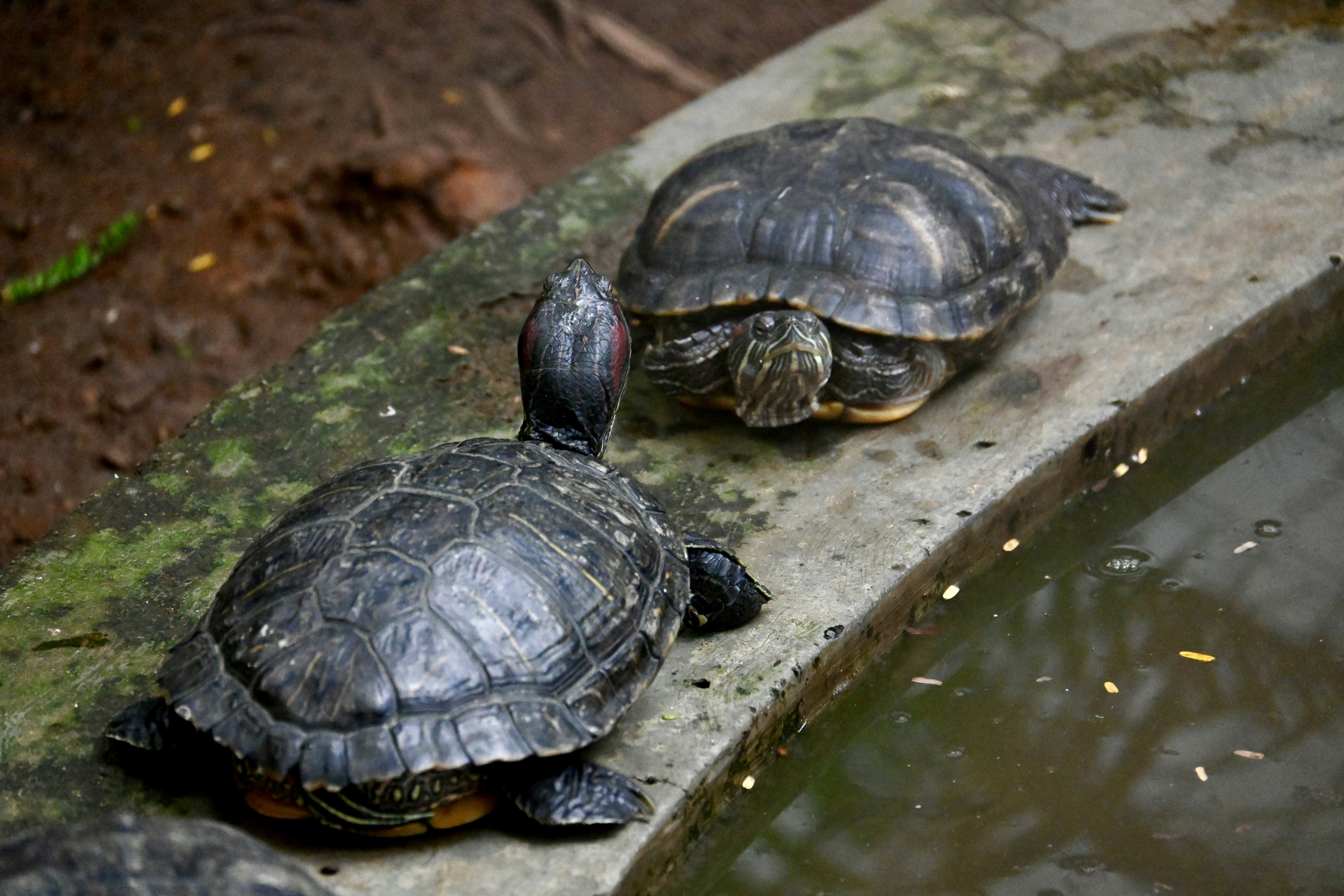 Photo by praswinprakashan