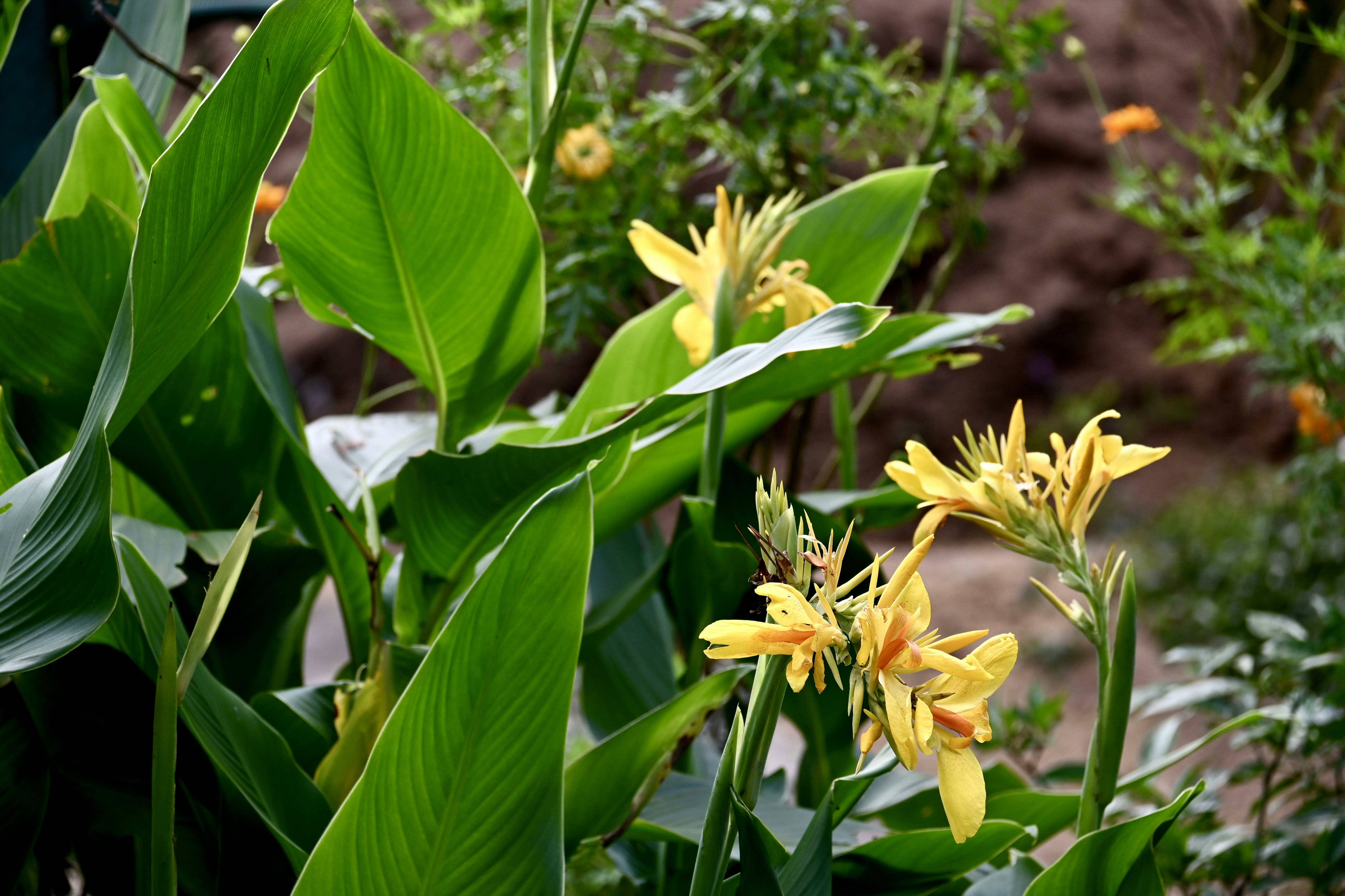 Photo by praswinprakashan