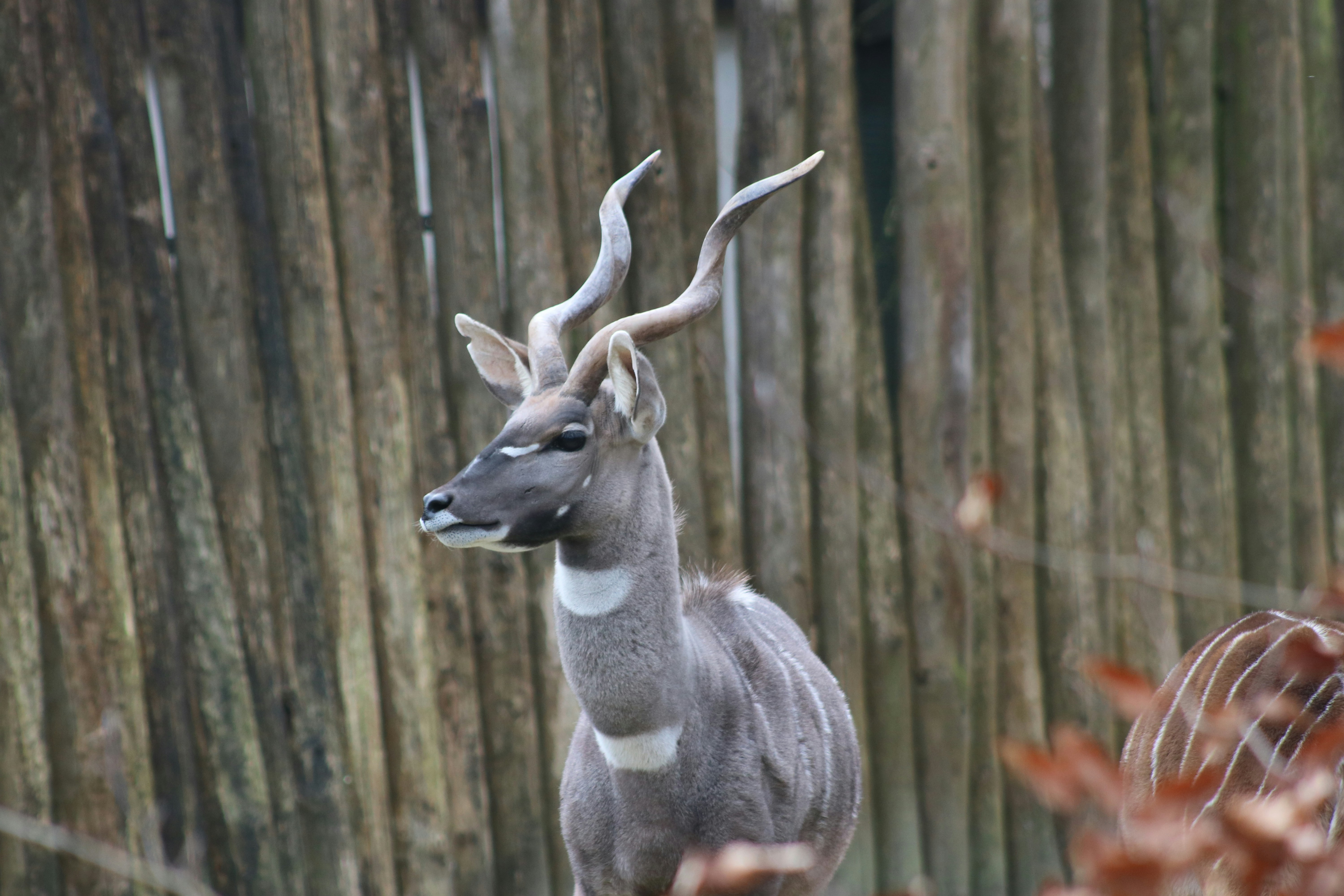 Photo by hannahruthemeyer