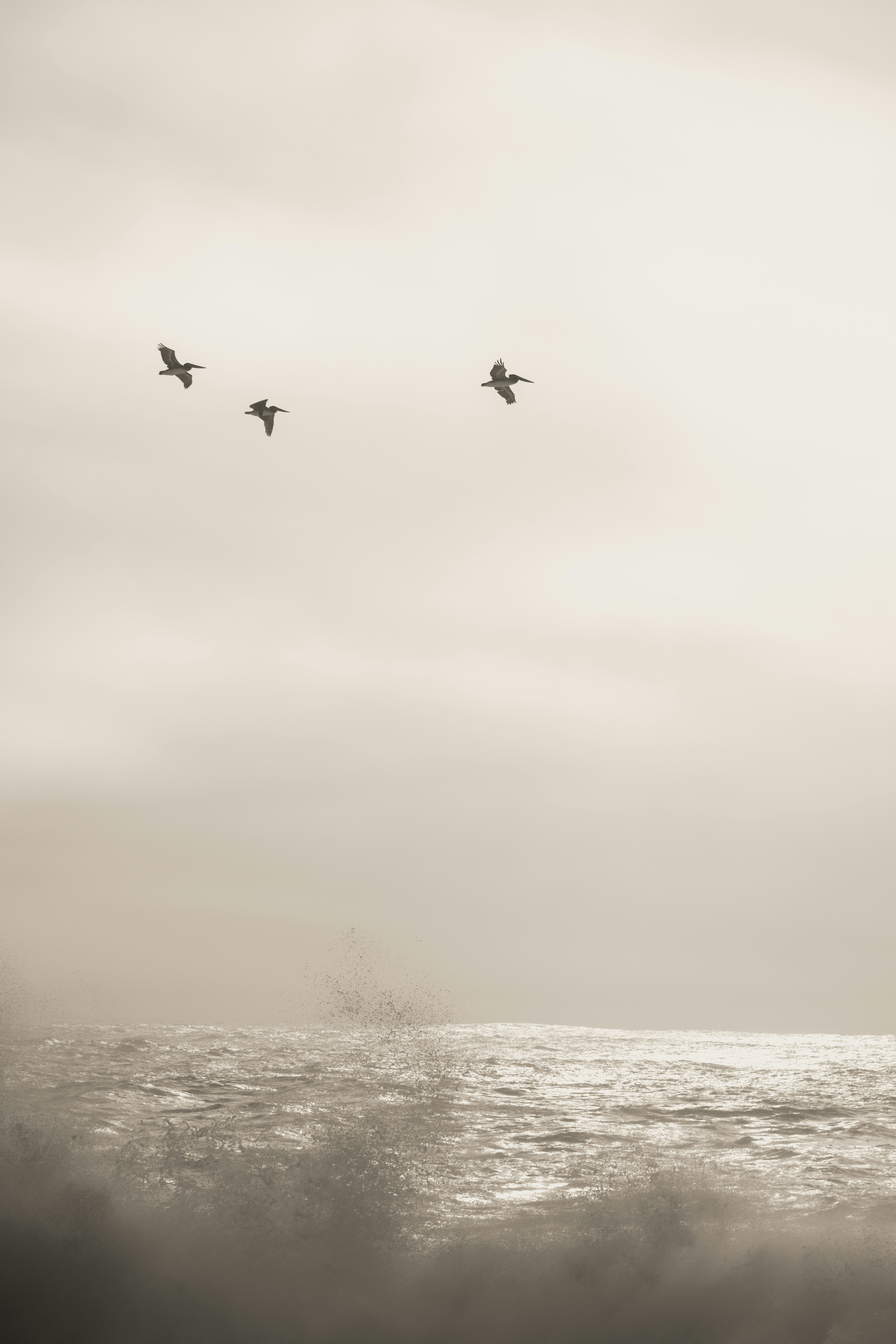 Photo by zihao_wang