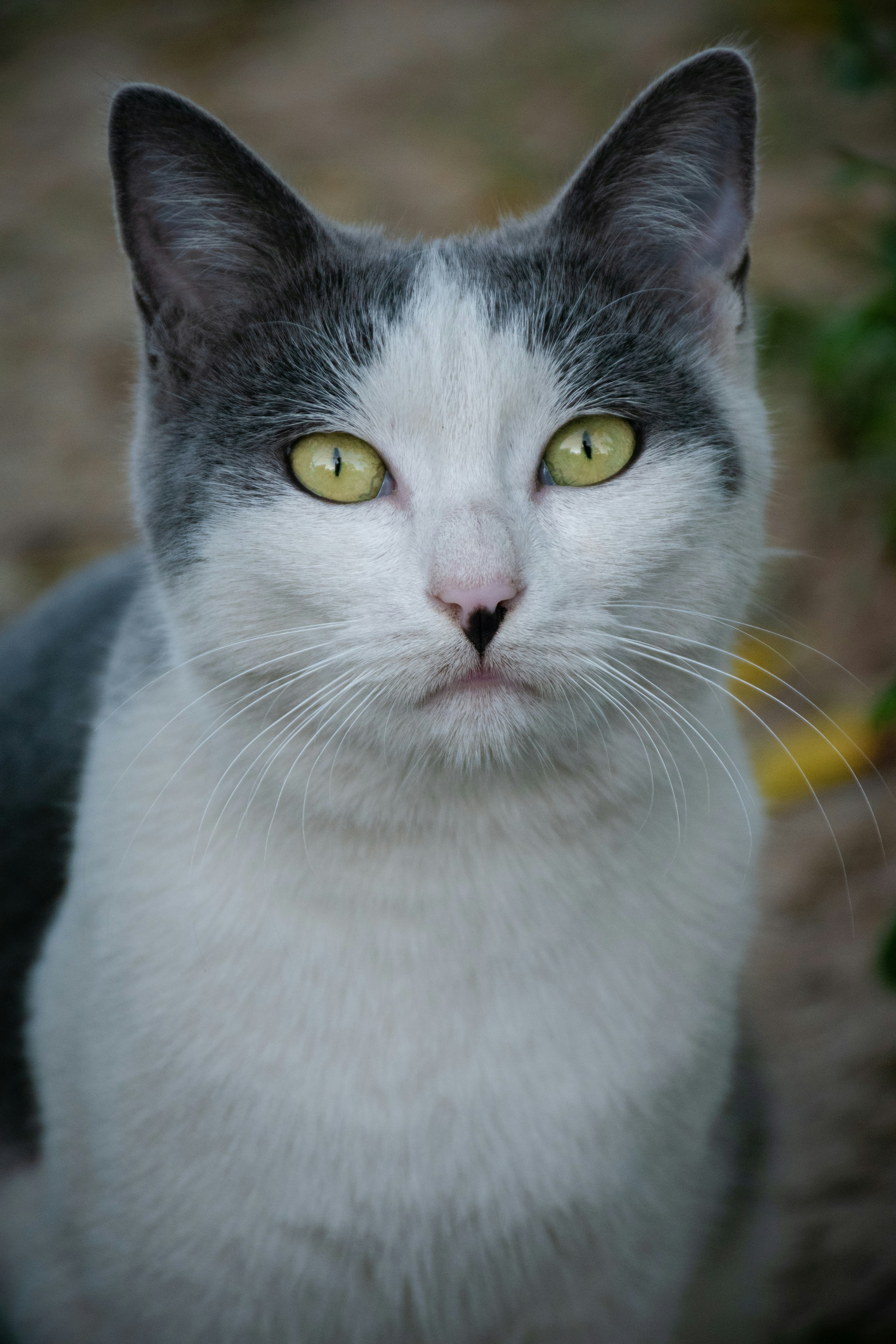 Photo by mohammadjavadishere