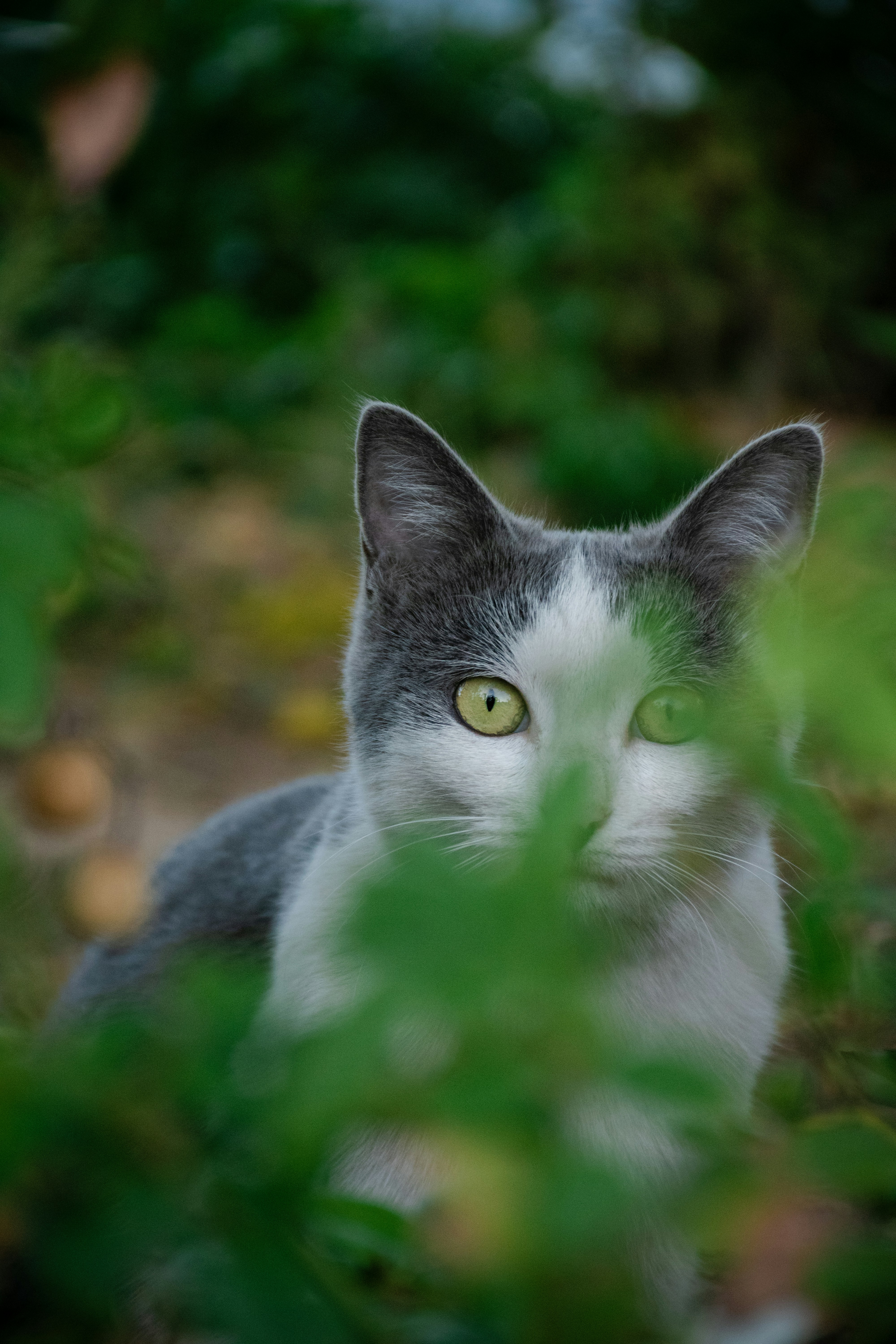 Photo by mohammadjavadishere