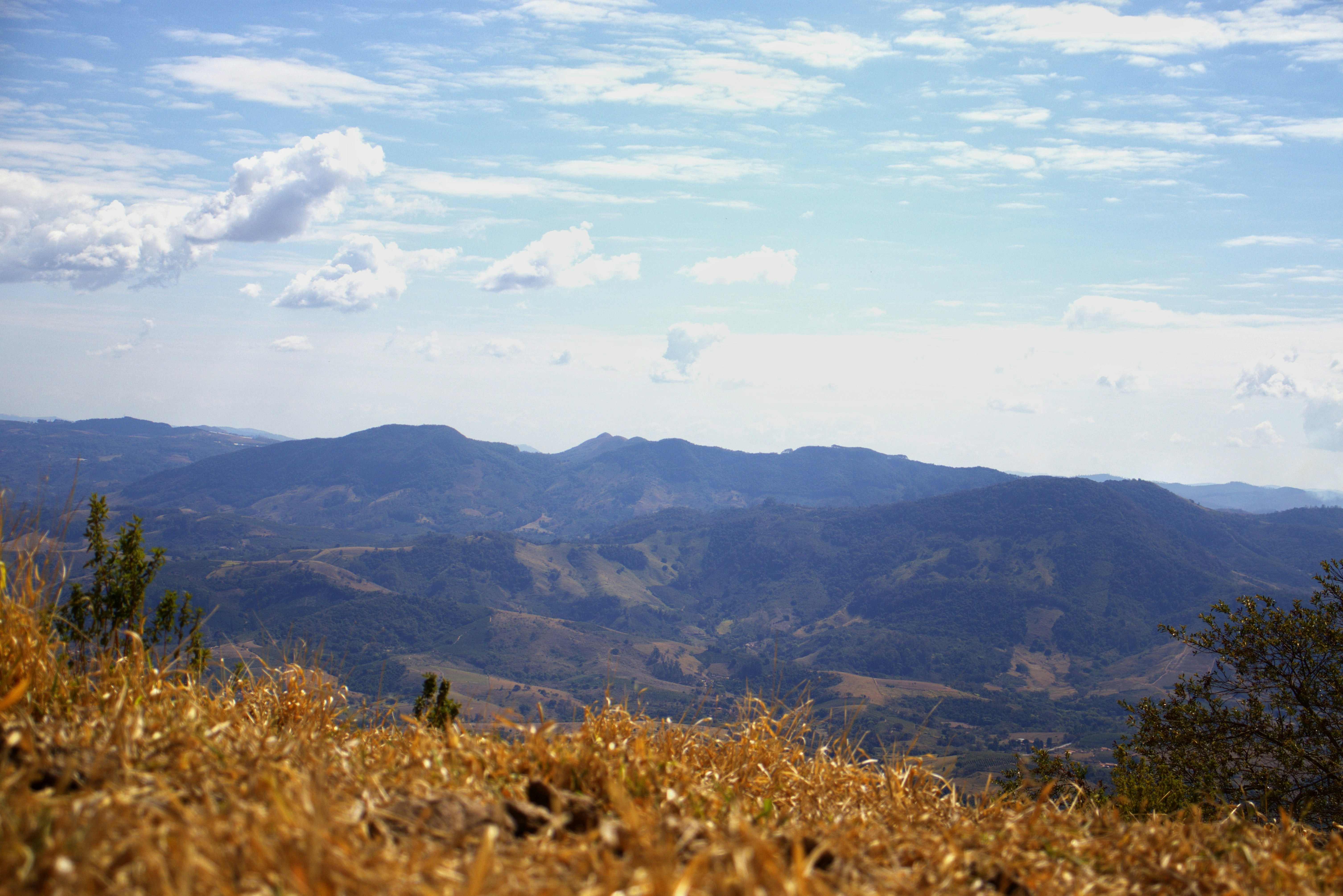 Photo by caio_delarolle