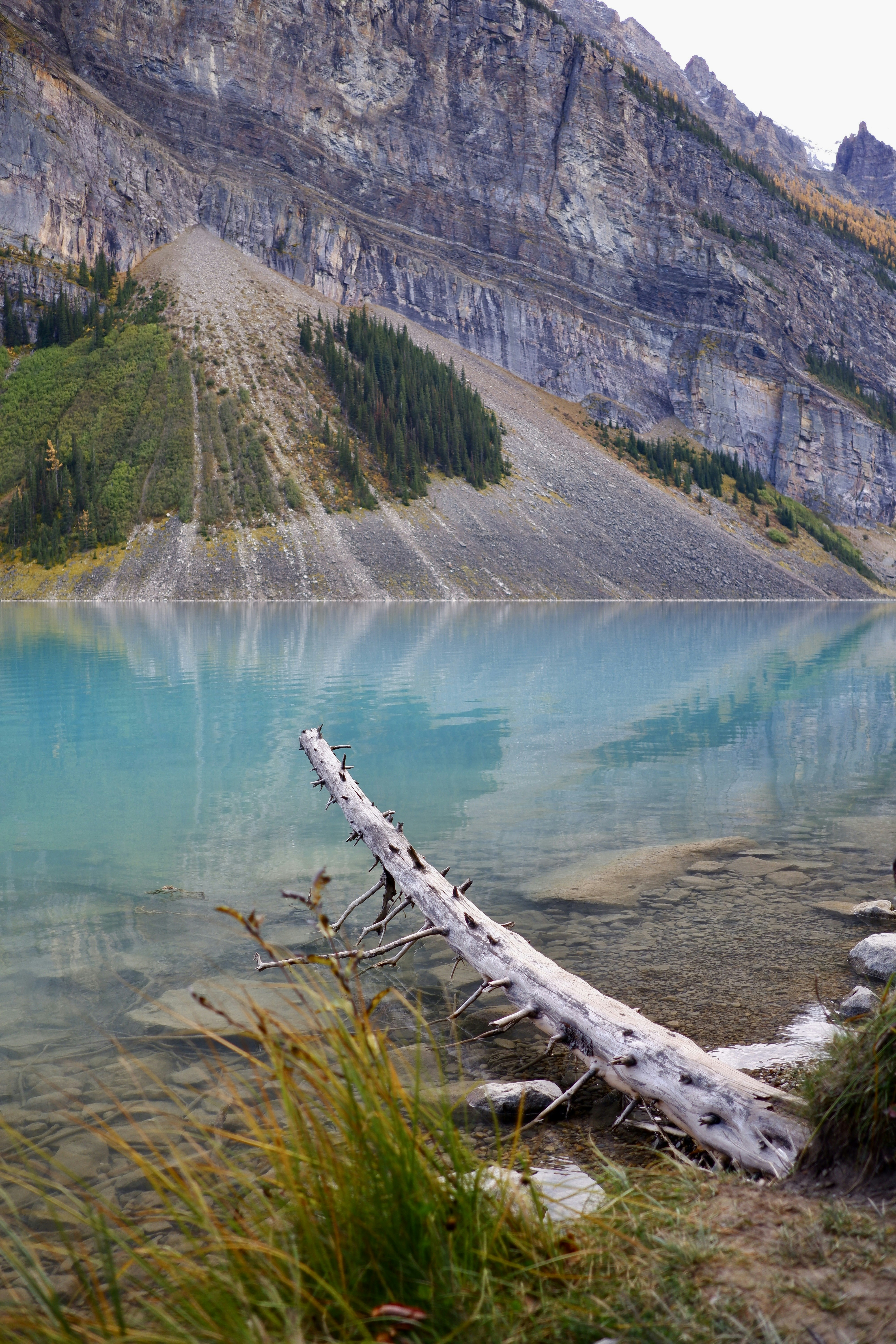 Lake Louise travel photo